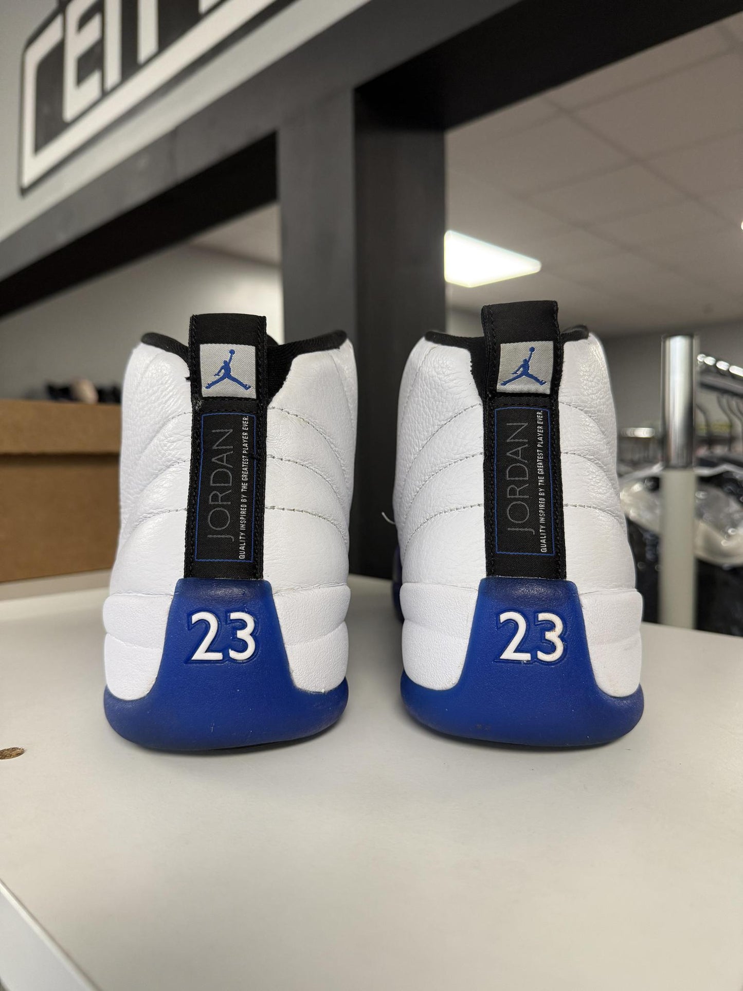 Jordan 12 "Blueberry" Used Size 11.5