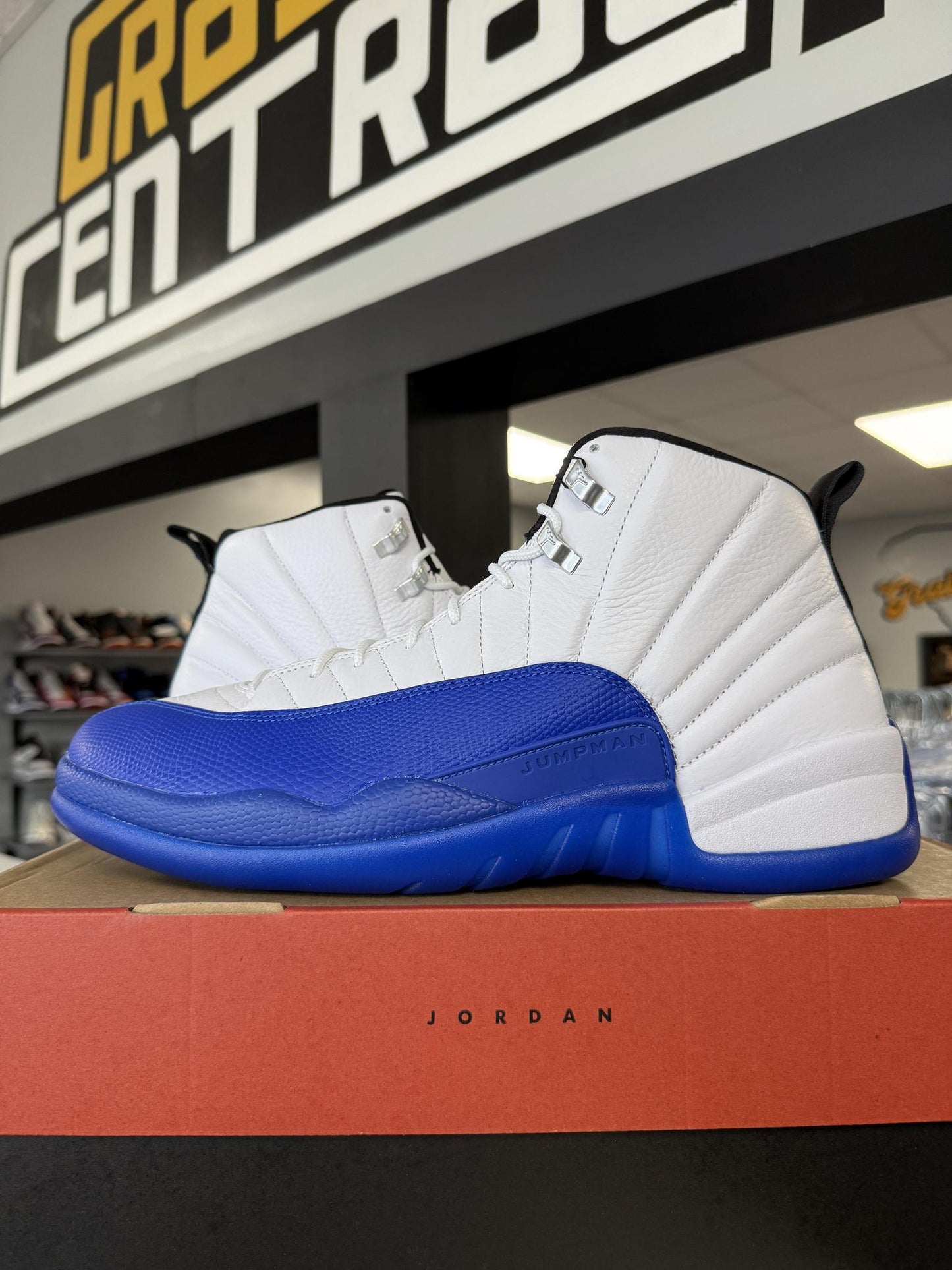 Jordan 12 "Blueberry" Used Size 14