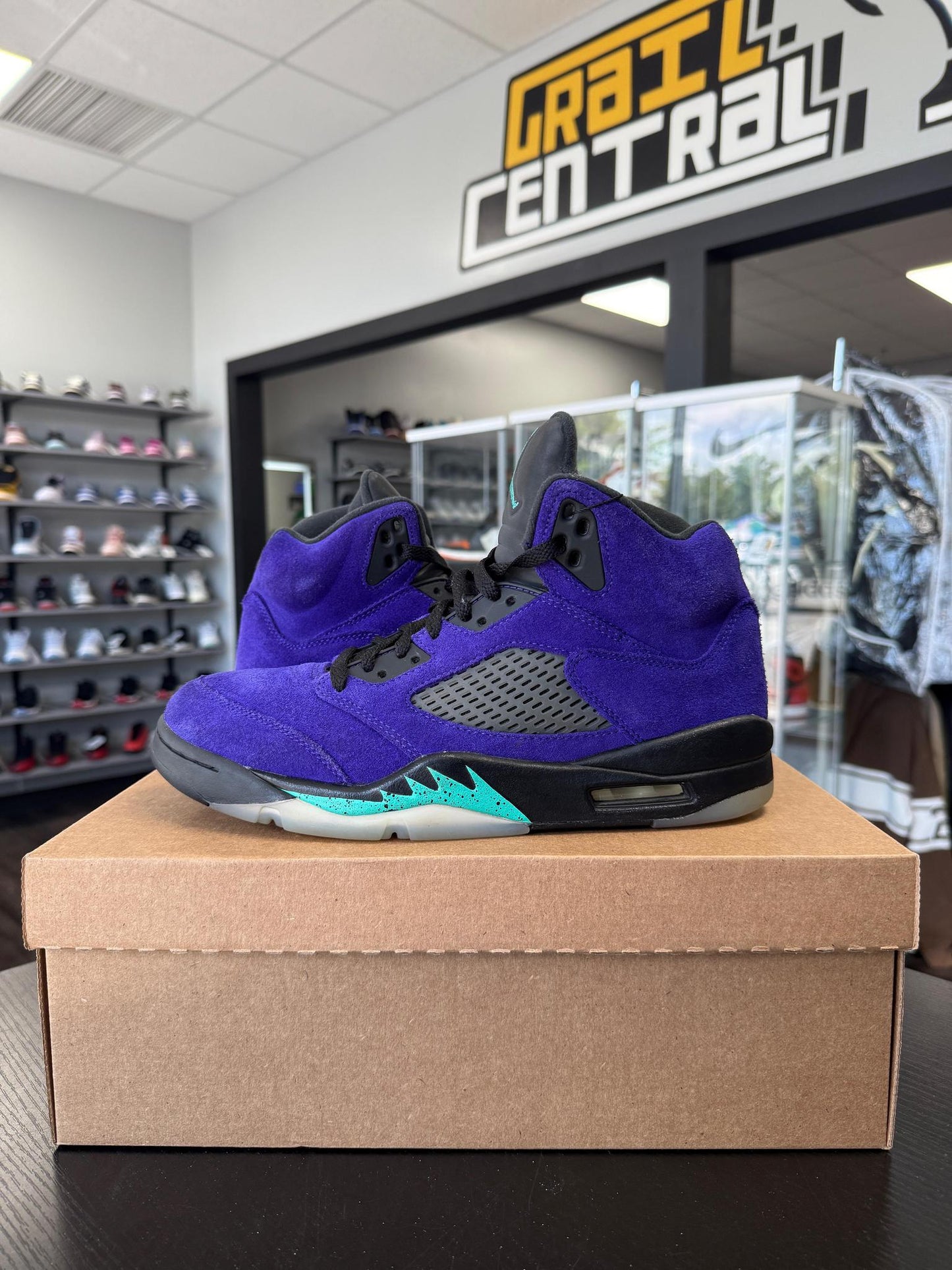Jordan 5 "Alternate Grape" Used Size 9.5
