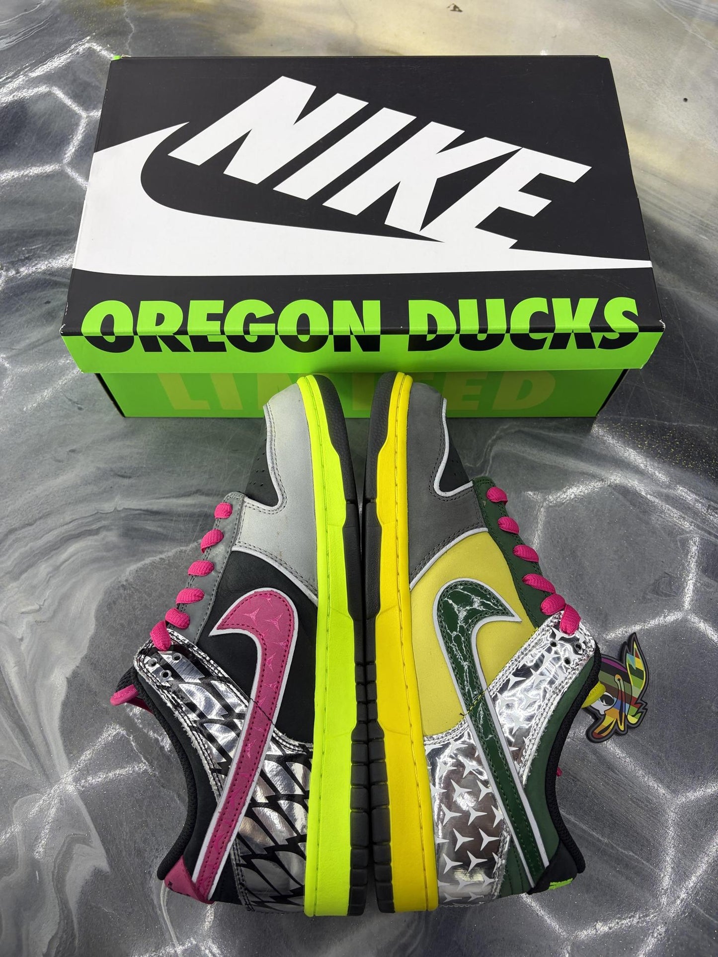 Nike Dunk Low "What The Duck" Used Size 10.5