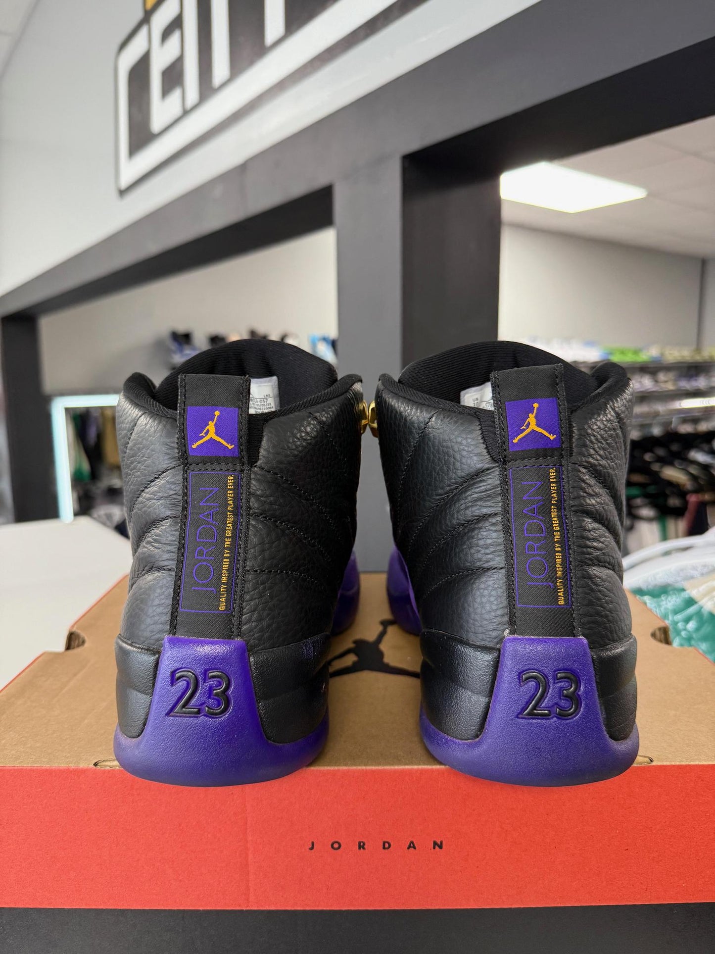 Jordan 12 "Field Purple" Used Size 10
