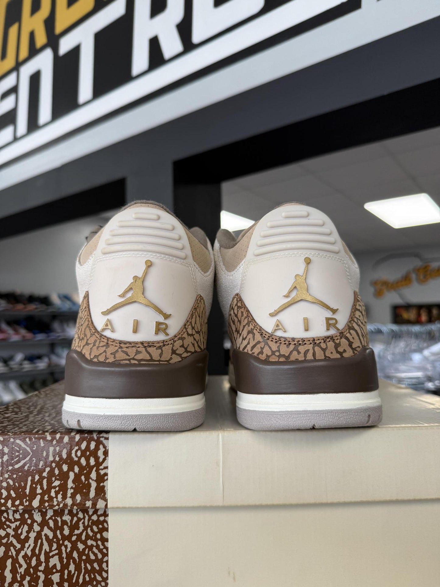 Jordan 3 "Palomino" Used Size 12