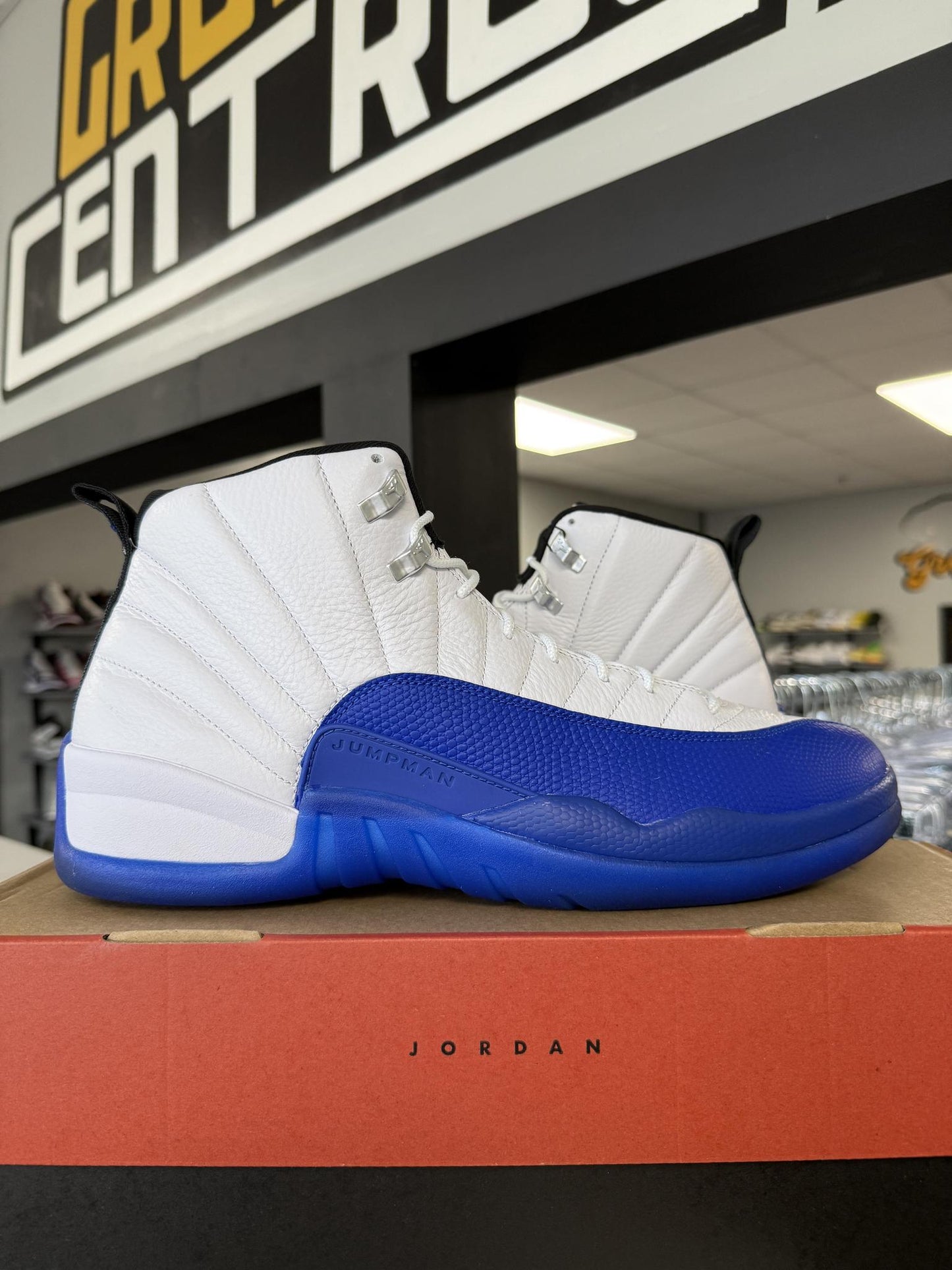 Jordan 12 "Blueberry" Used Size 14