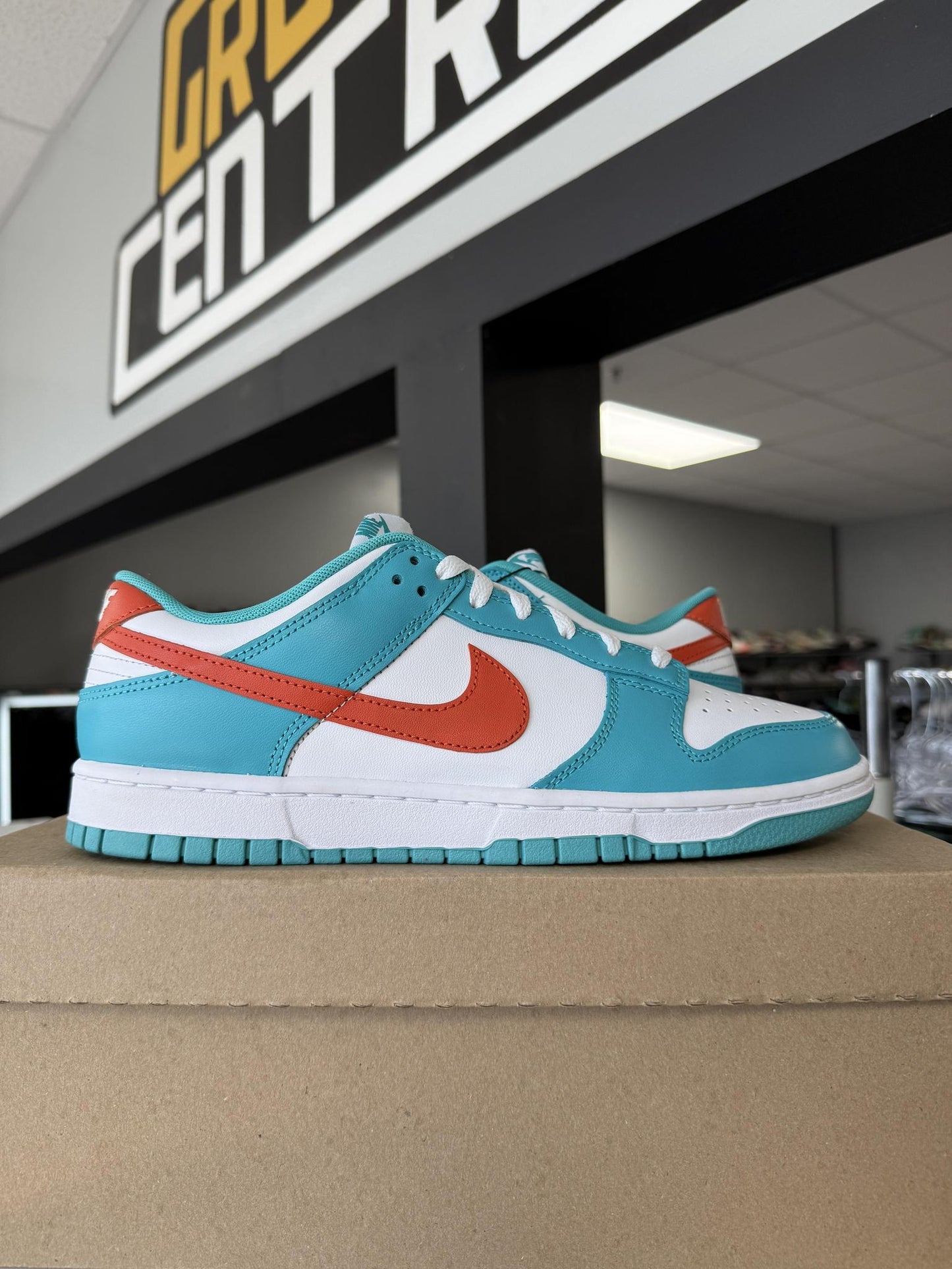 Nike Dunk Low "Dolphins" Used Size 10.5