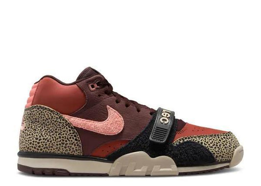 Nike SB Trainer x Arts Rec "For Recreational Use"