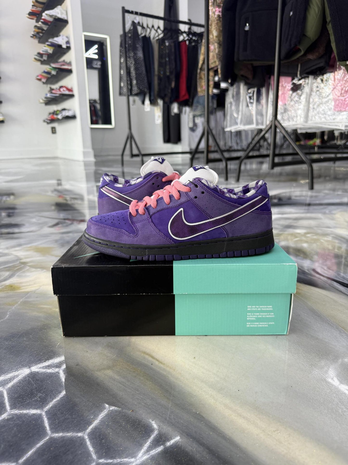 Nike SB Dunk Low "Purple Lobster" Used Size 9