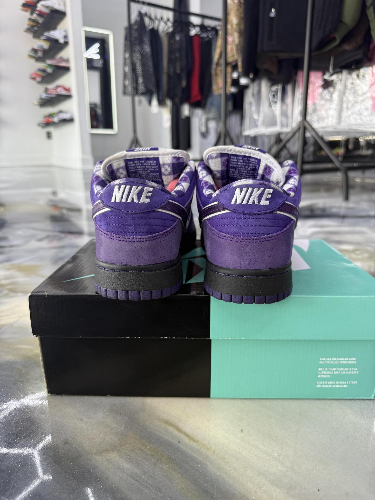 Nike SB Dunk Low "Purple Lobster" Used Size 9