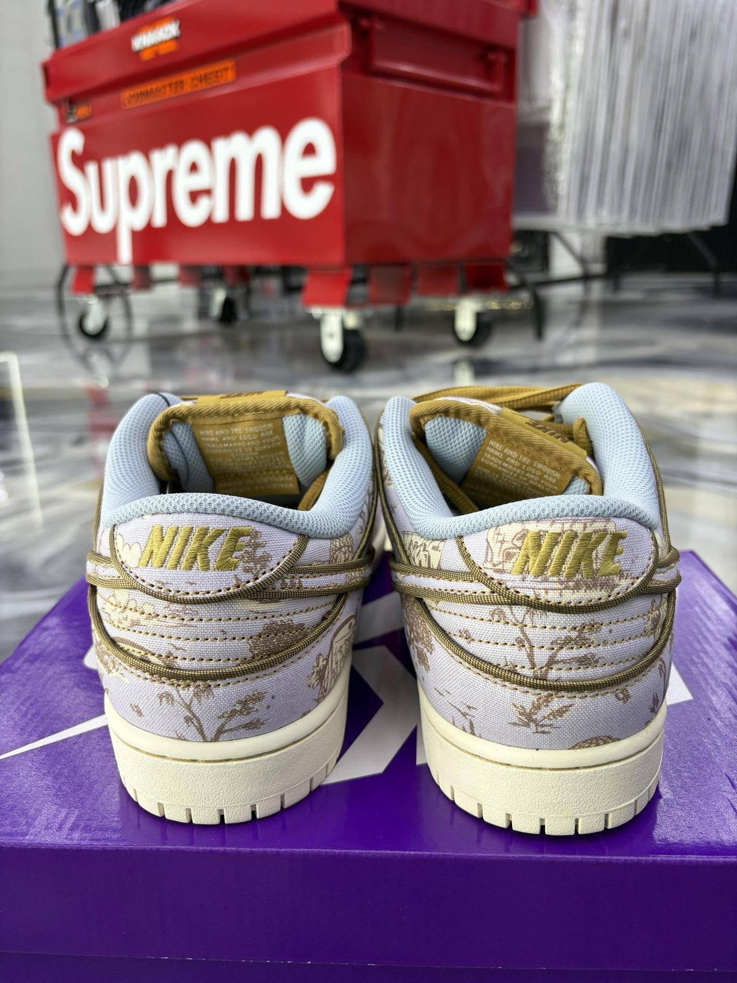 Nike SB Dunk Low Premium "City of Style" Used Size 10.5