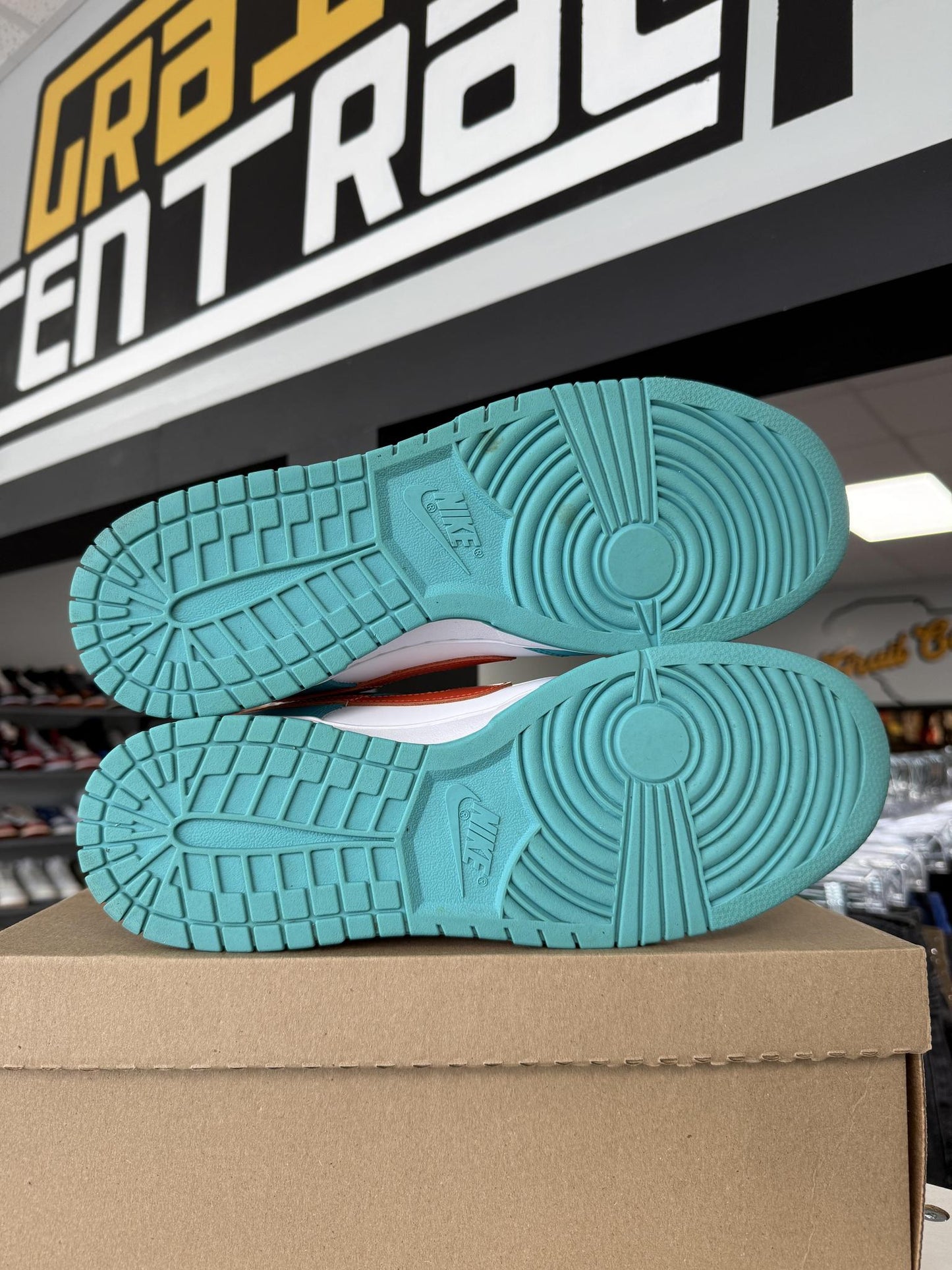 Dunk Low "Miami" Used Size 12