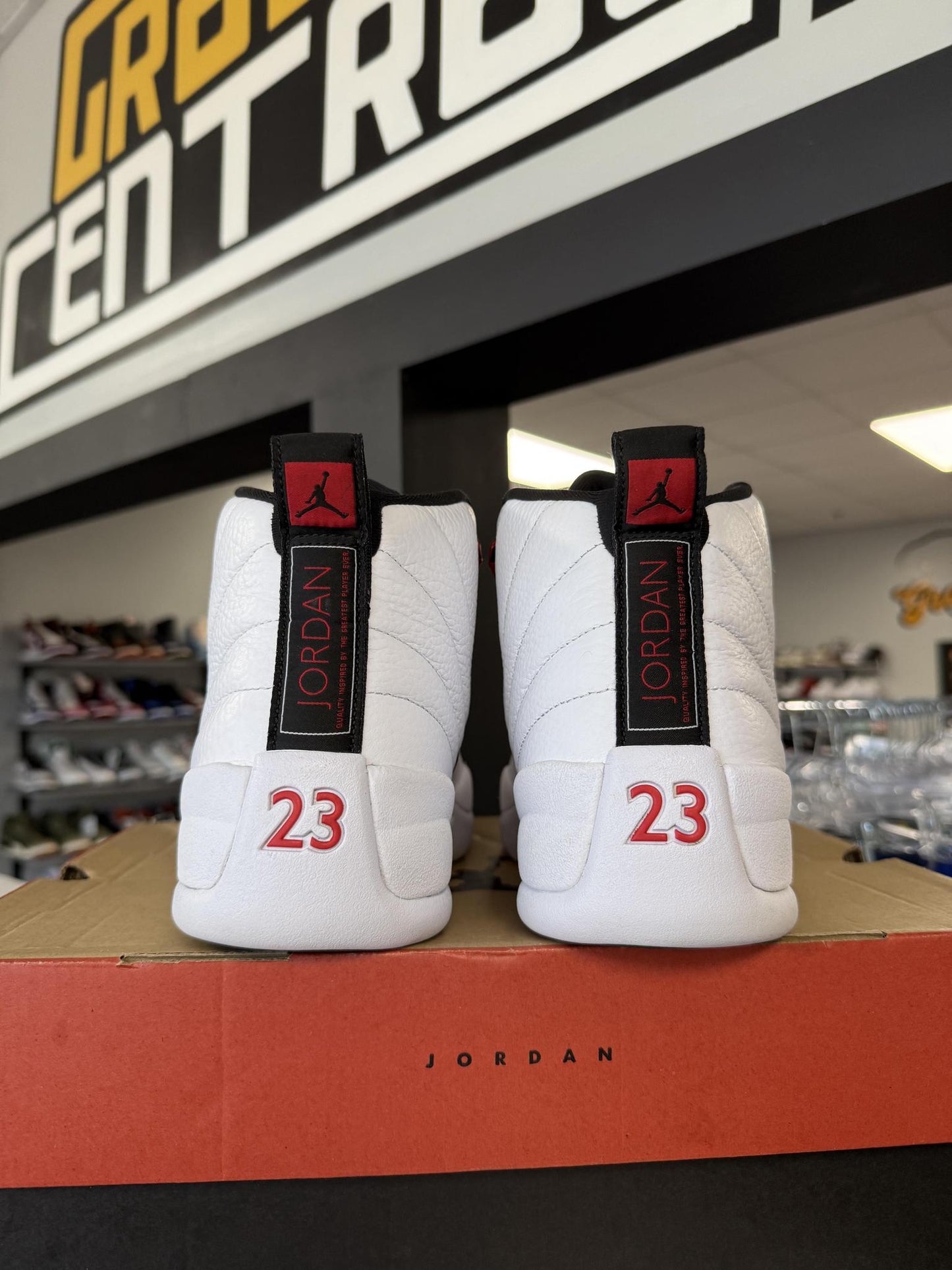 Jordan 12 "Twist" Used Size 12
