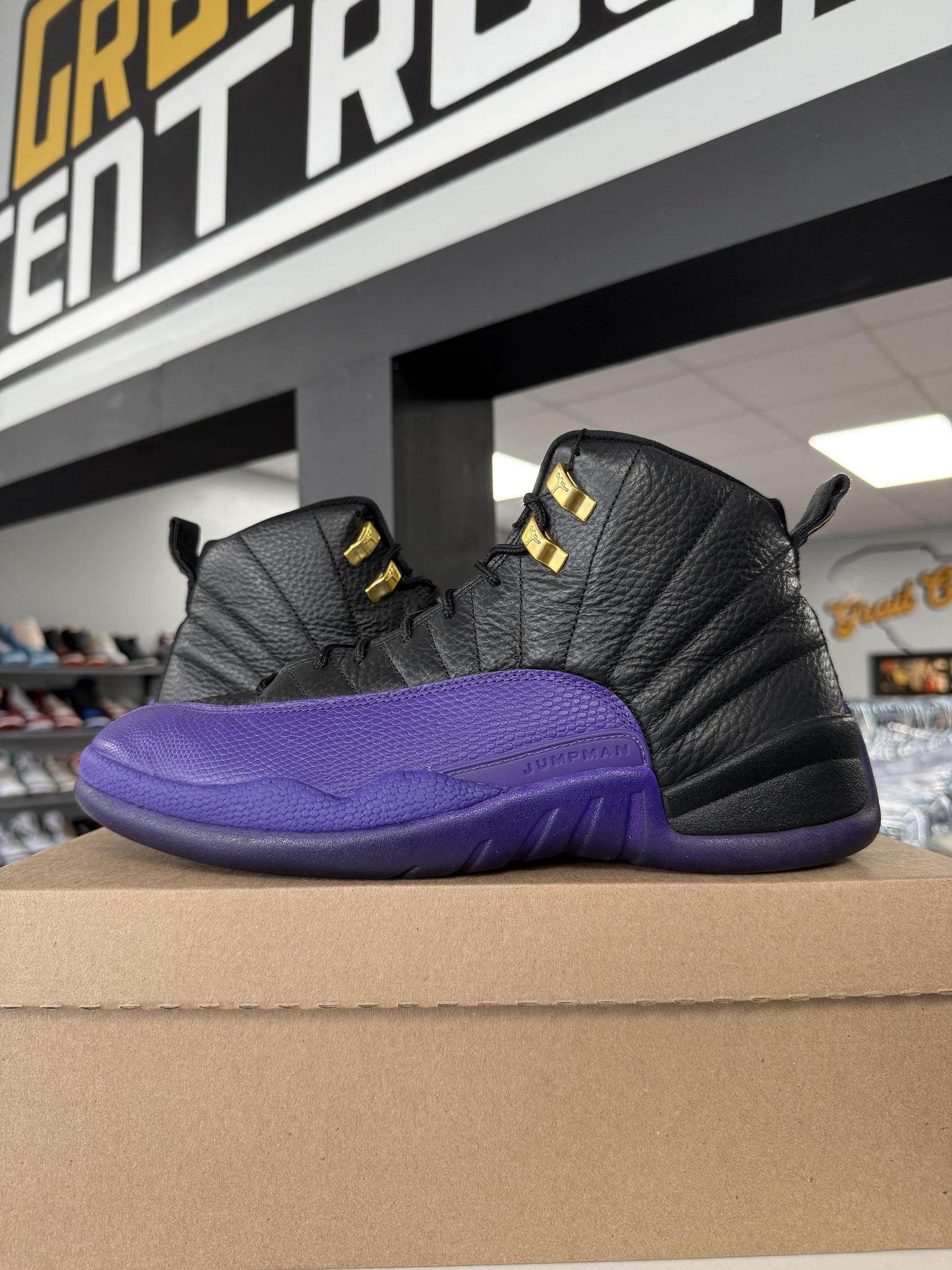 Jordan 12 "Field Purple" Used Size 11