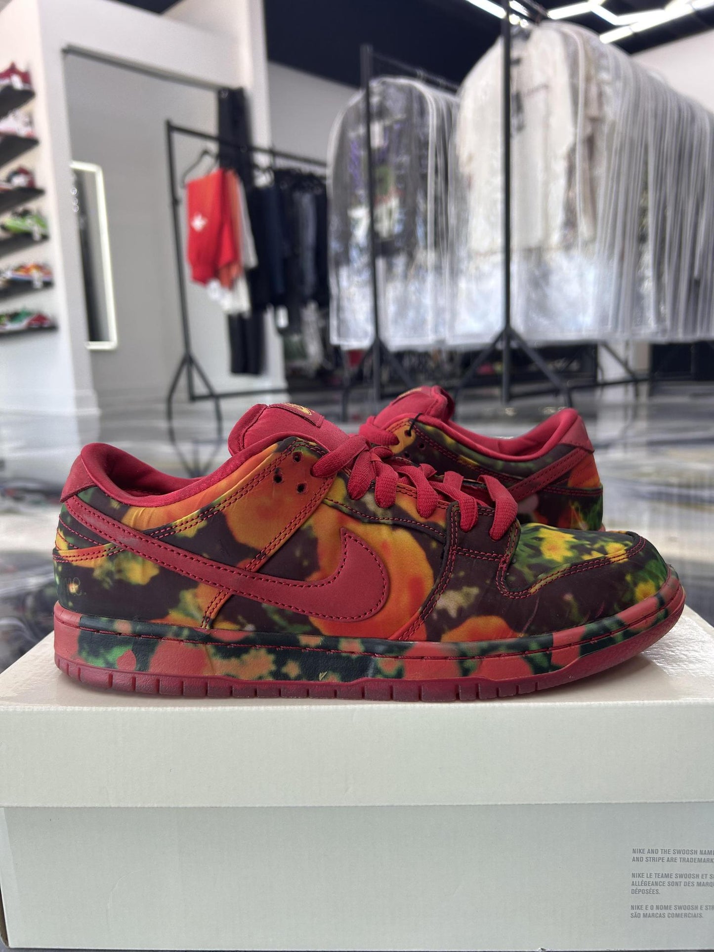 Nike SB Dunk Low "Wizard Of Oz" Used Size 9.5