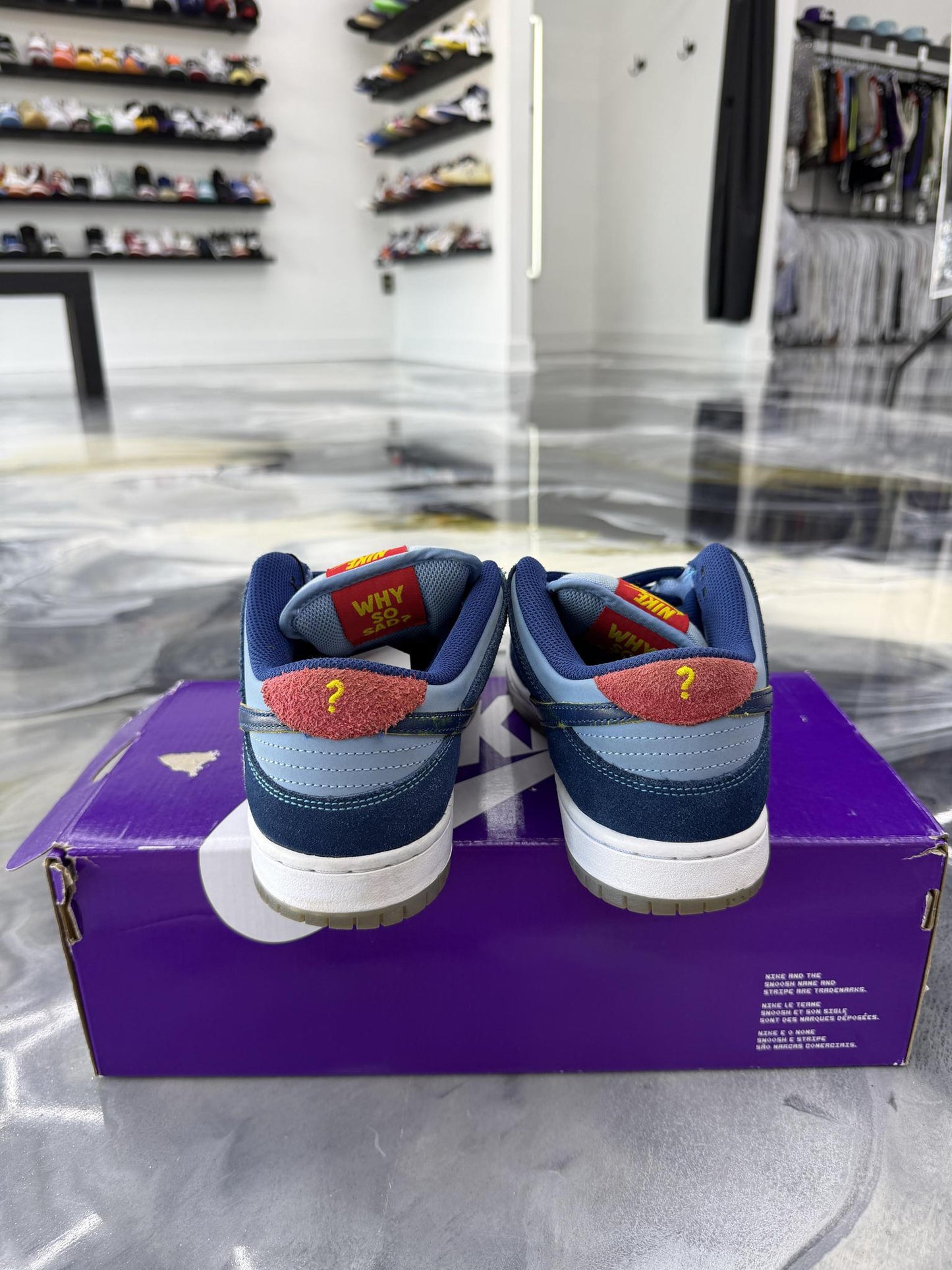 Nike SB Dunk Low Why So Sad Used Size 7Y/8.5W