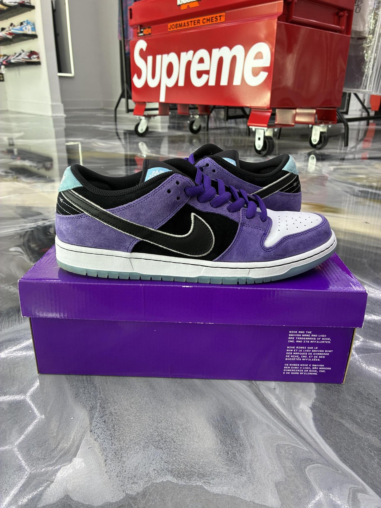 Nike SB Dunk Low "Hayley Wilson" Used Size 12