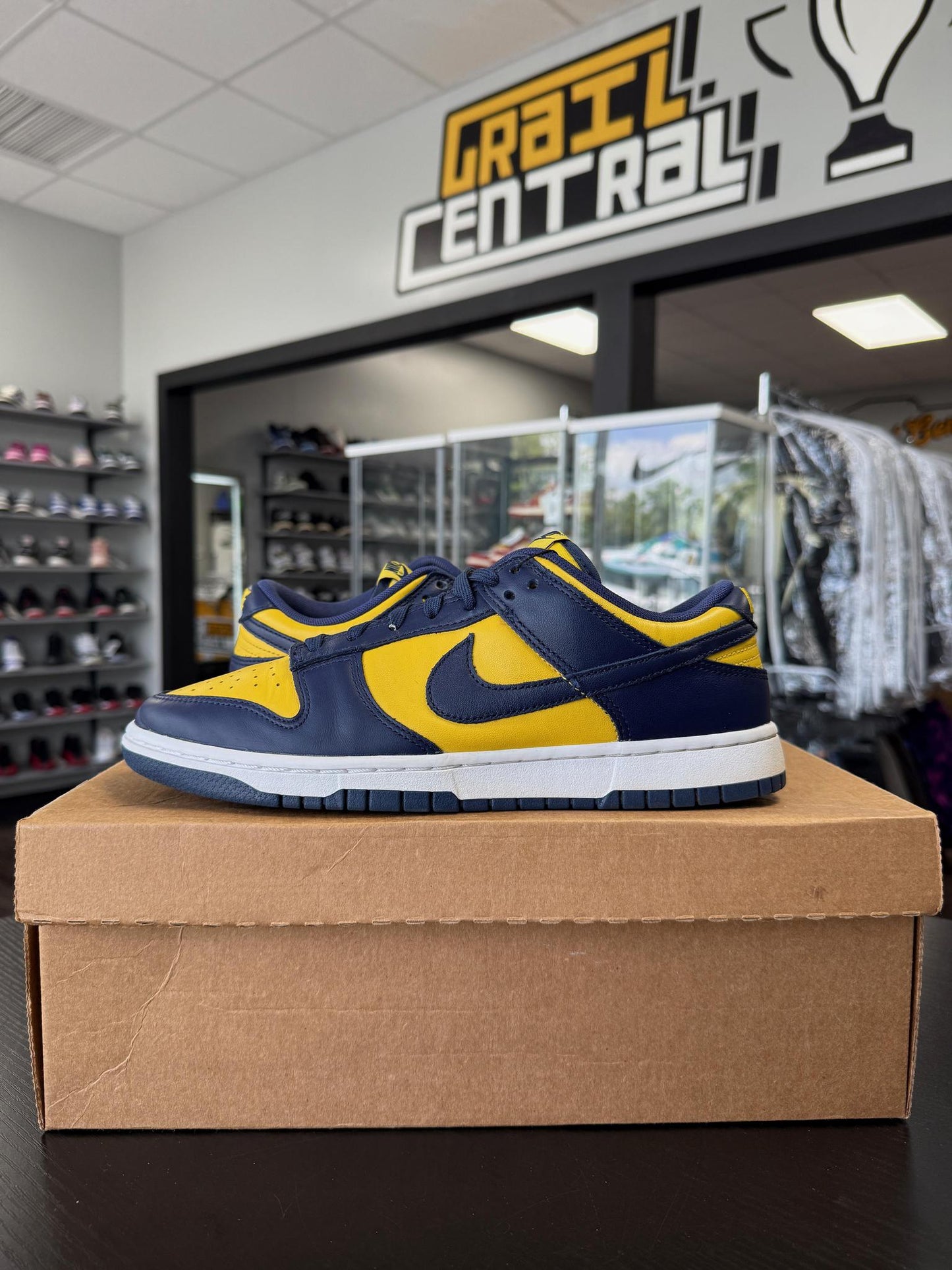 Nike Dunk Low Michigan Used Size 9