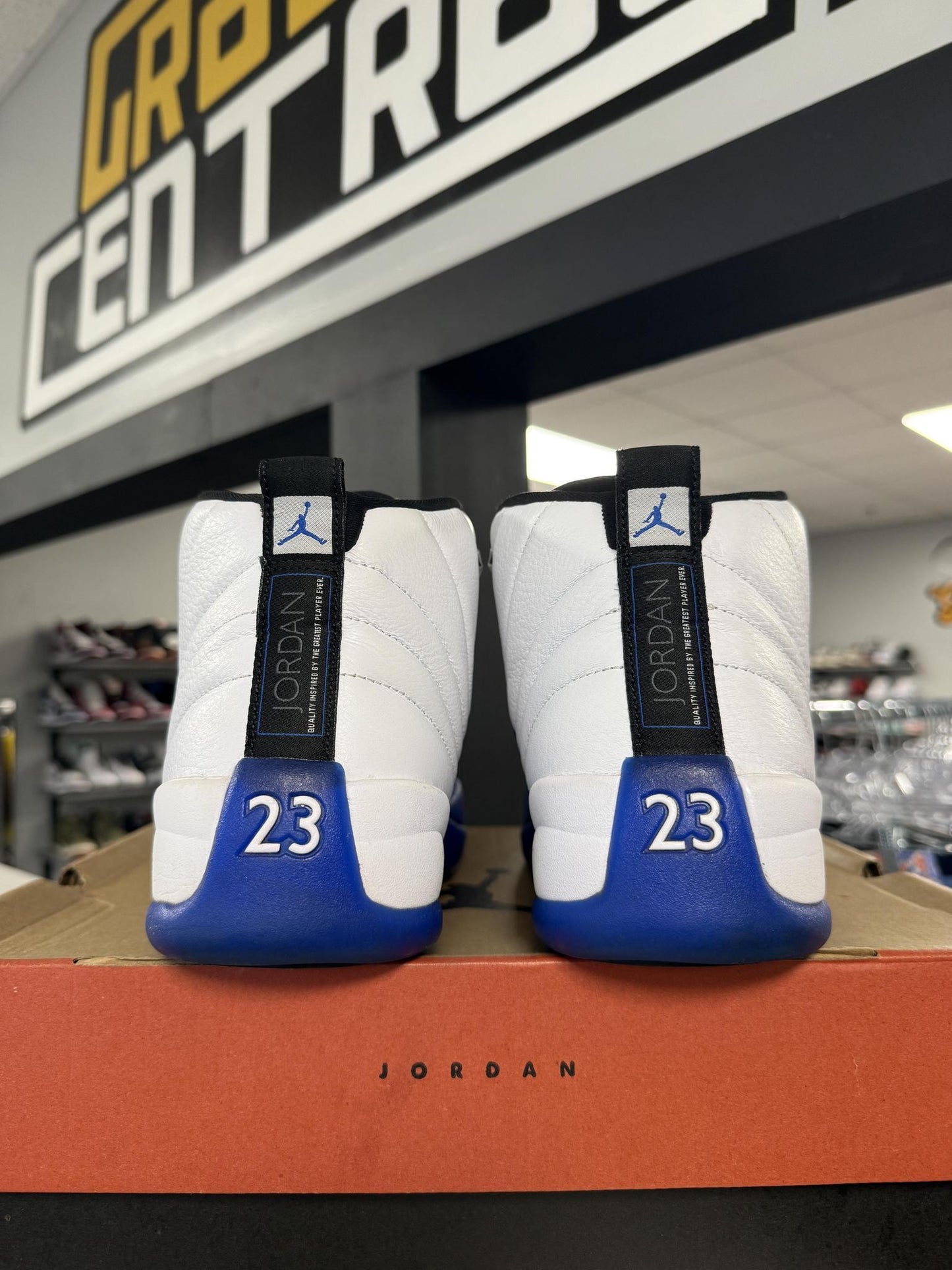 Jordan 12 "Blueberry" Used Size 11.5