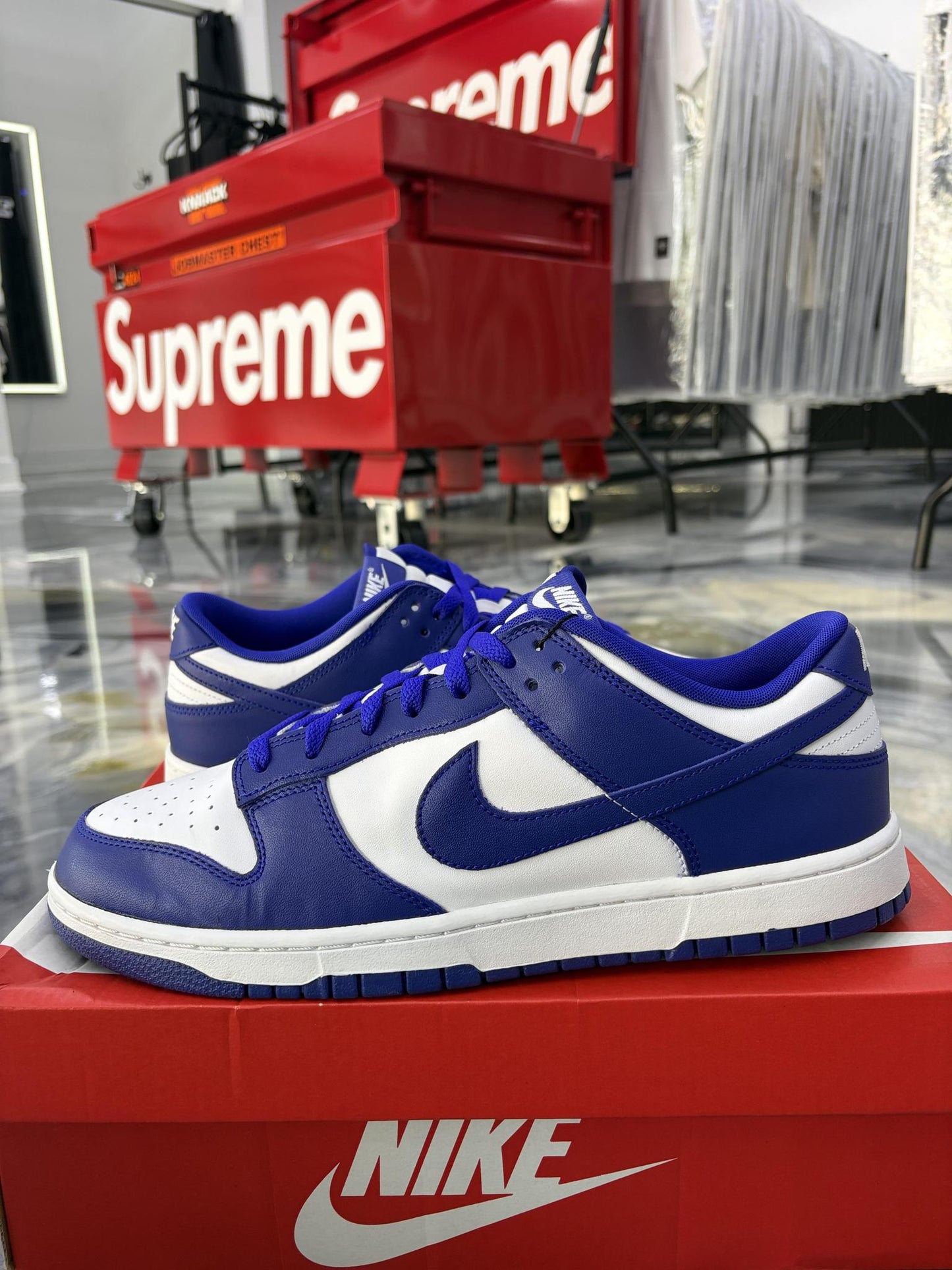 Nike Dunk Low "Concord" Used Size 13