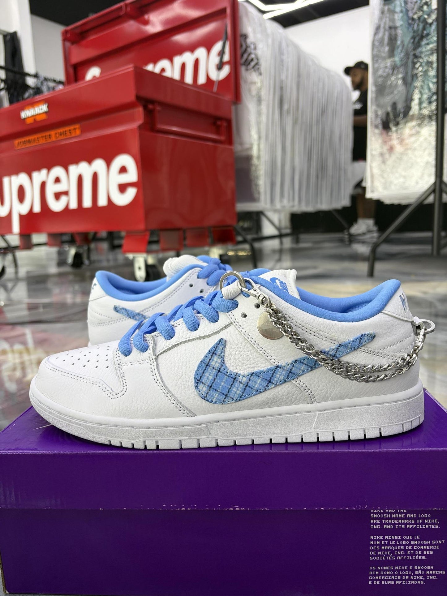 Nike SB Dunk Low "Nicole Hause" Used Size 10.5