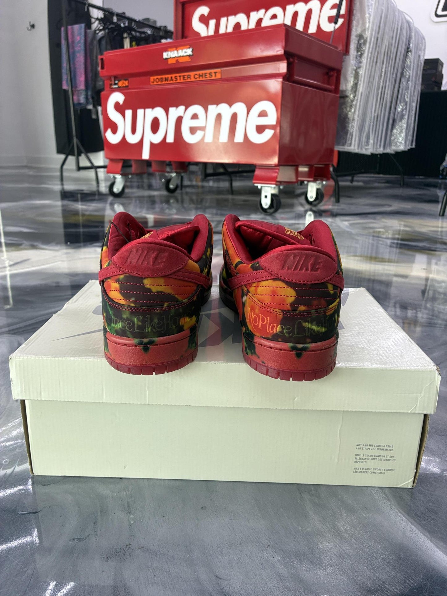 SB Dunk Low "Wizard of Oz" Used Size 13