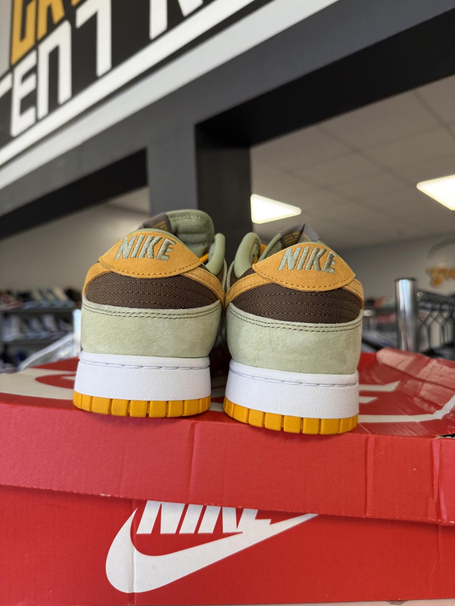 Dunk Low "Dusty Olive" Used Size 10
