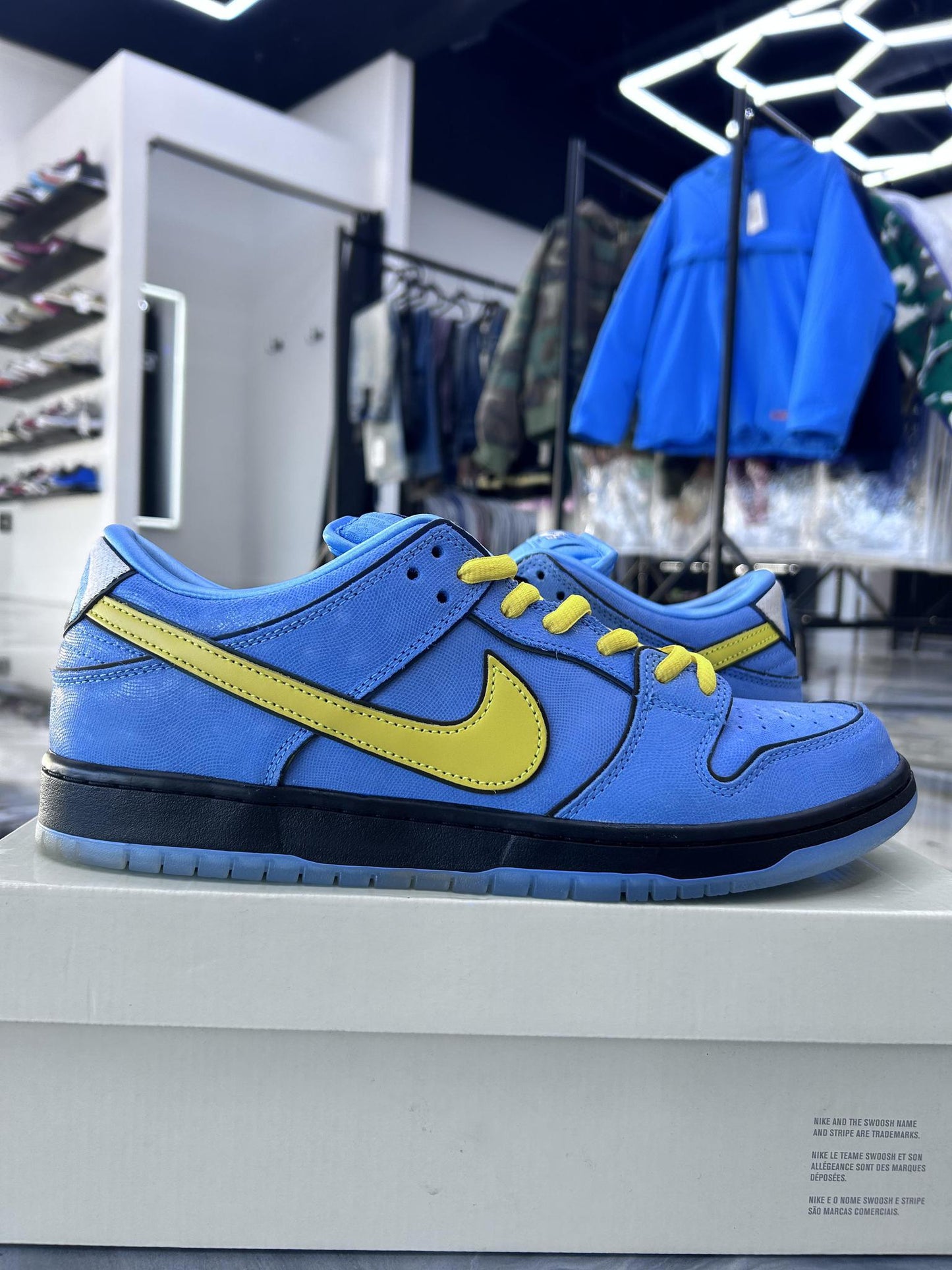 Nike SB Dunk Low "PowerPuff Bubbles" Used Size 12
