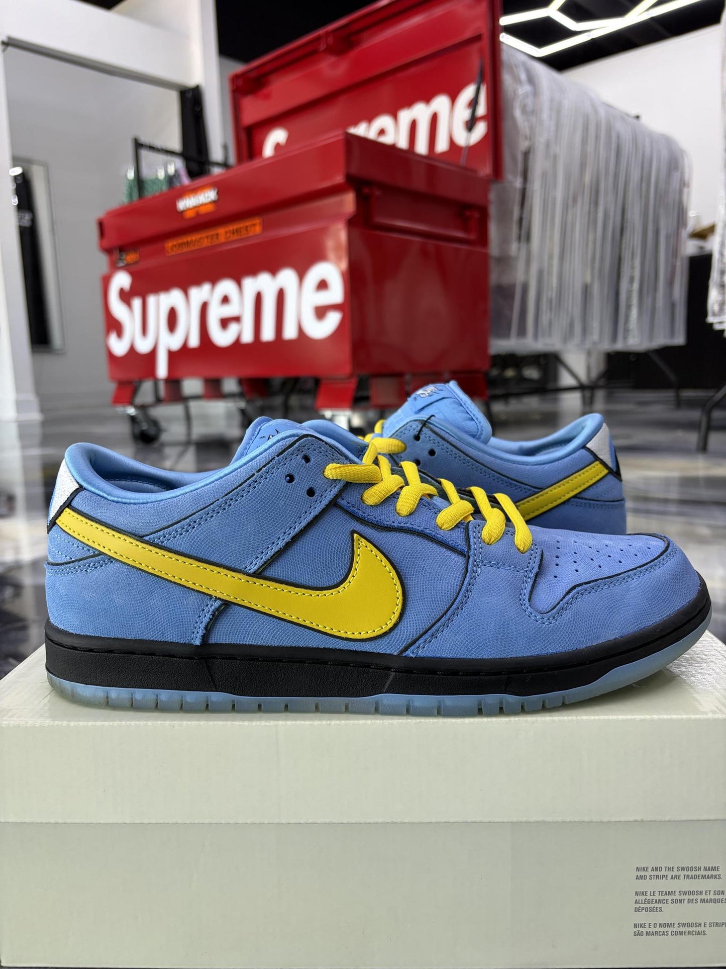 Nike SB Dunk Low "The Powerpuff Girls Bubbles" Used Size 10.5