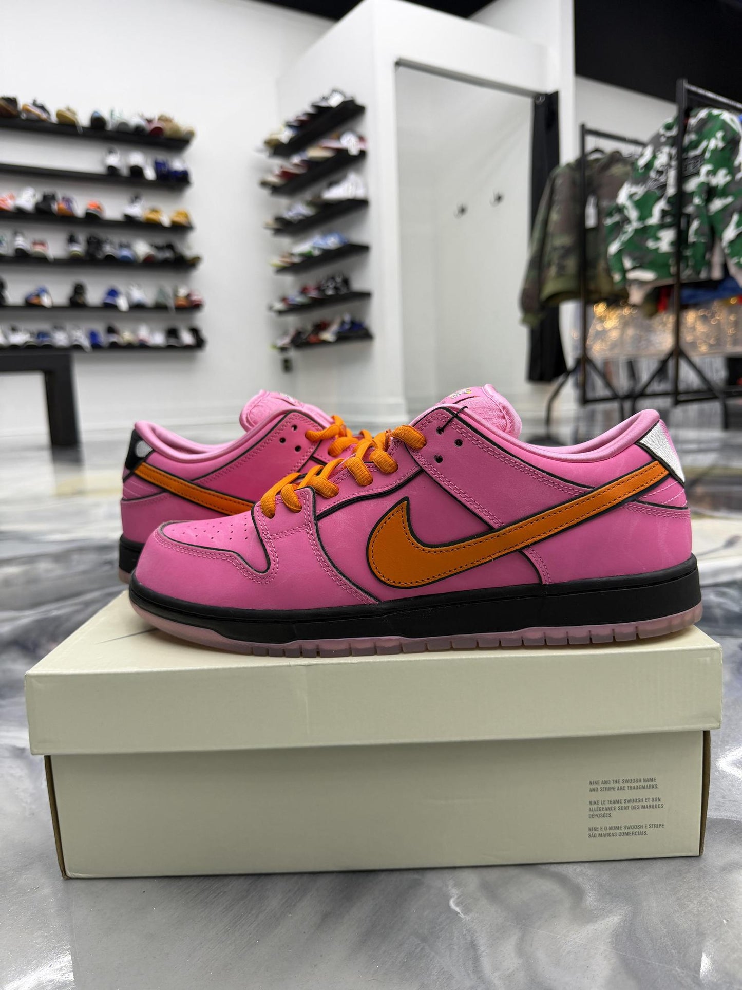 Nike SB Dunk Low Powerpuff Girls Blossom Used