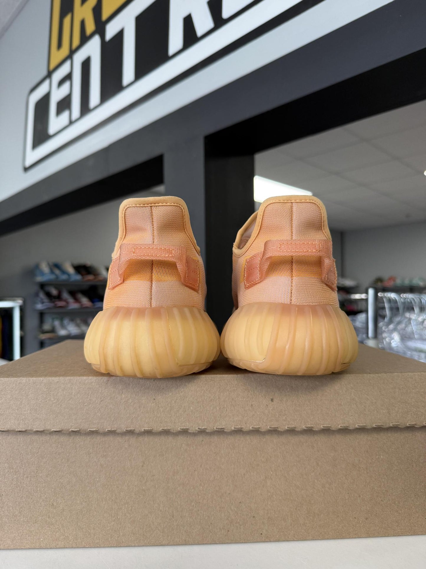 Yeezy 350 V2 "Clay" Used Size 10