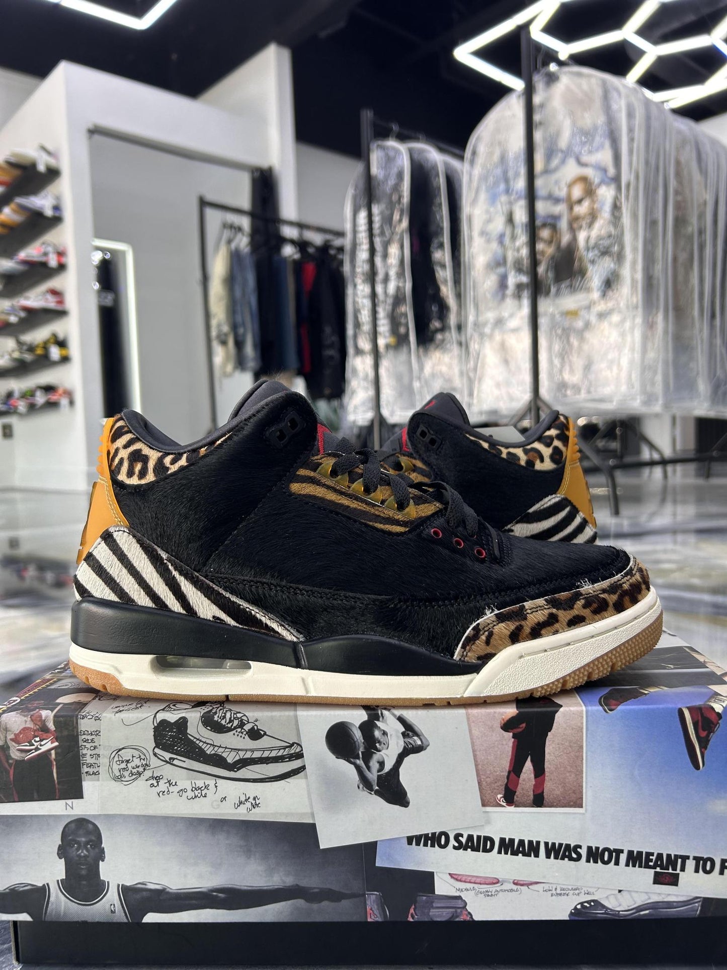 Jordan 3 "Animal Ambition" Used Size 10