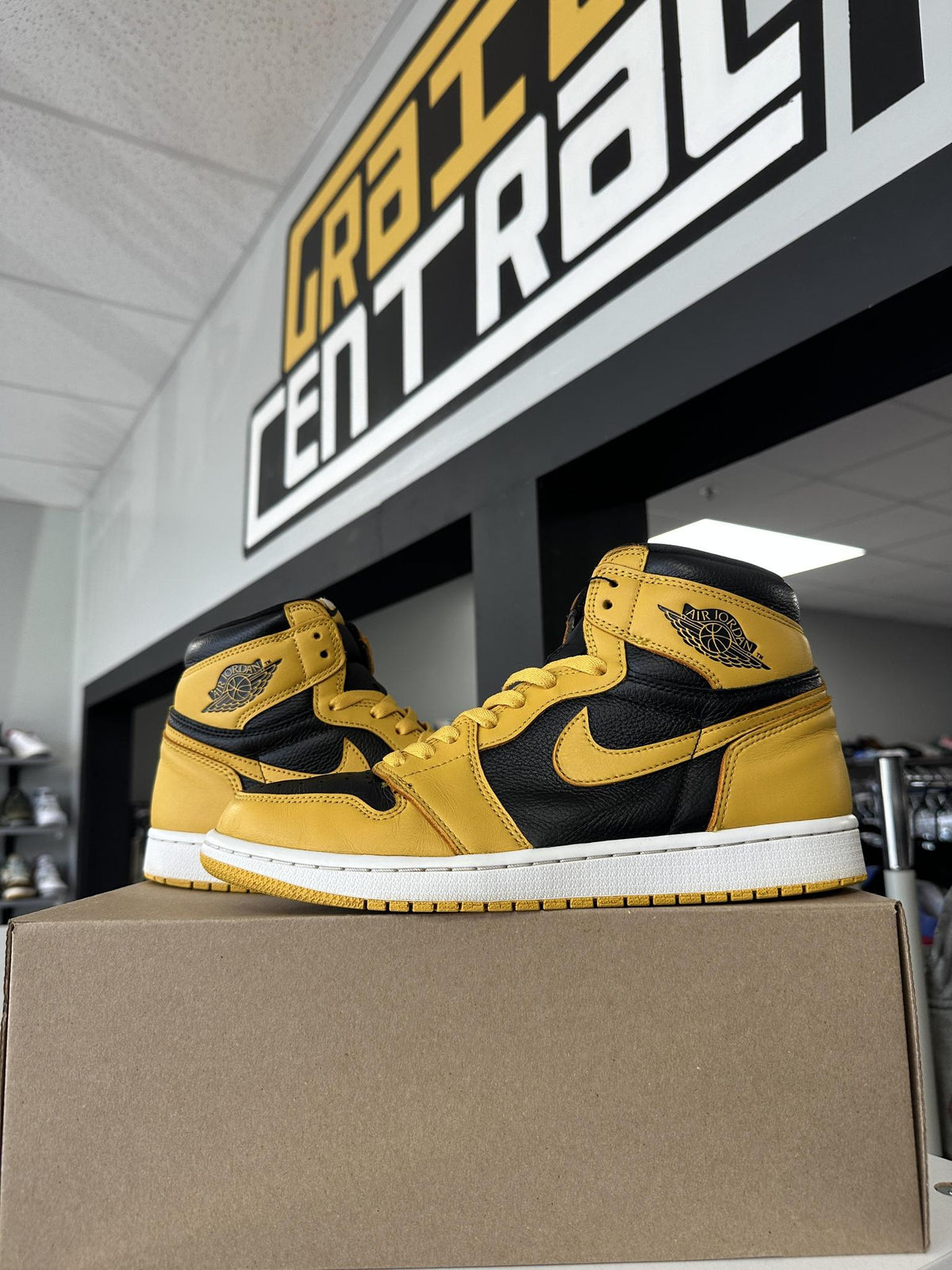 Jordan 1 Pollen Used