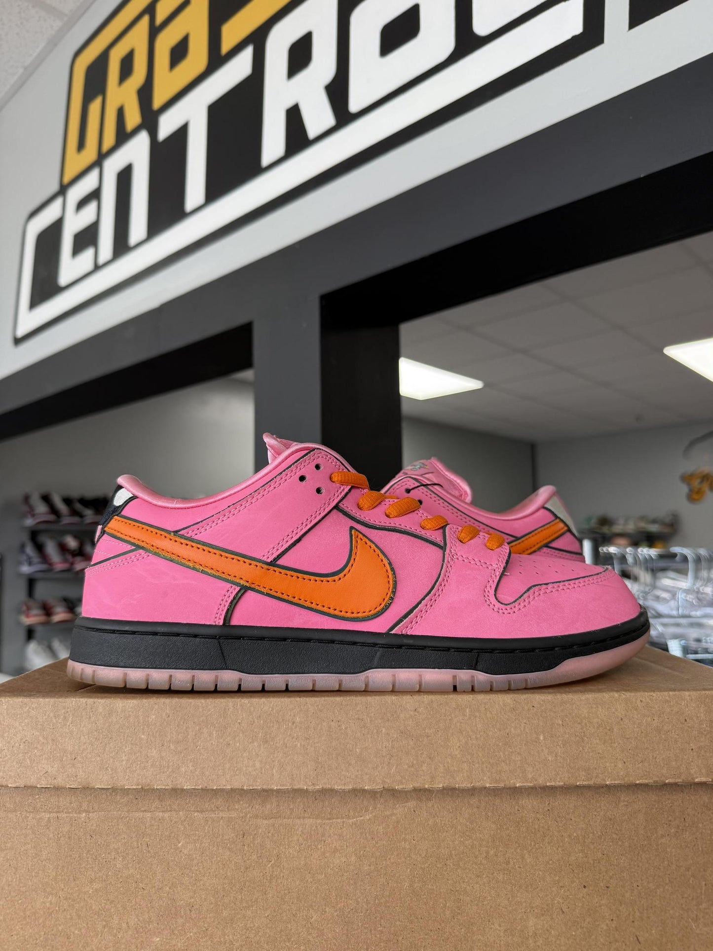 Nike Dunk Low SB x Powerpuff Girls "Blossom" Used Size 10