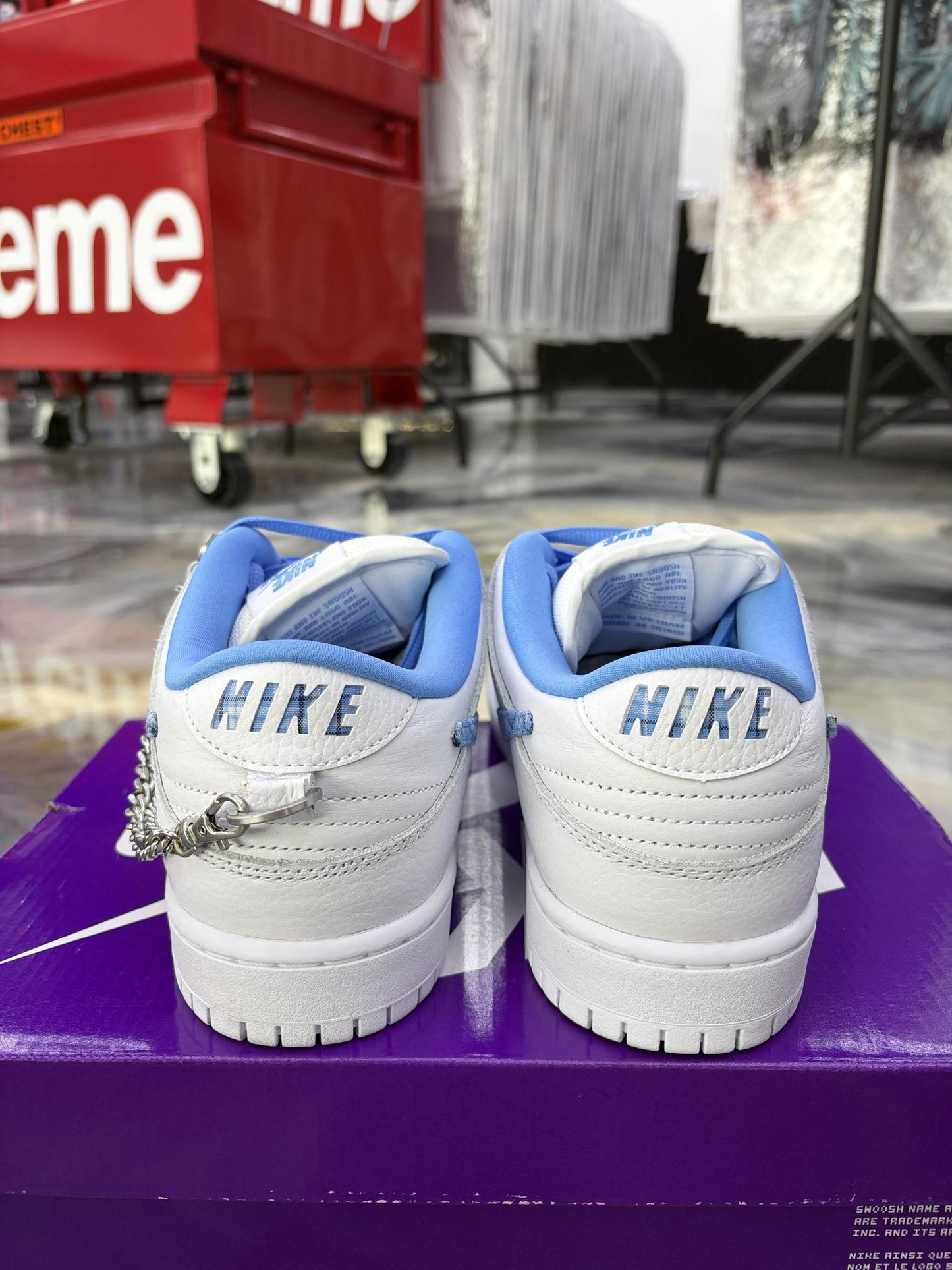 Nike SB Dunk Low "Nicole Hause" Used Size 10.5
