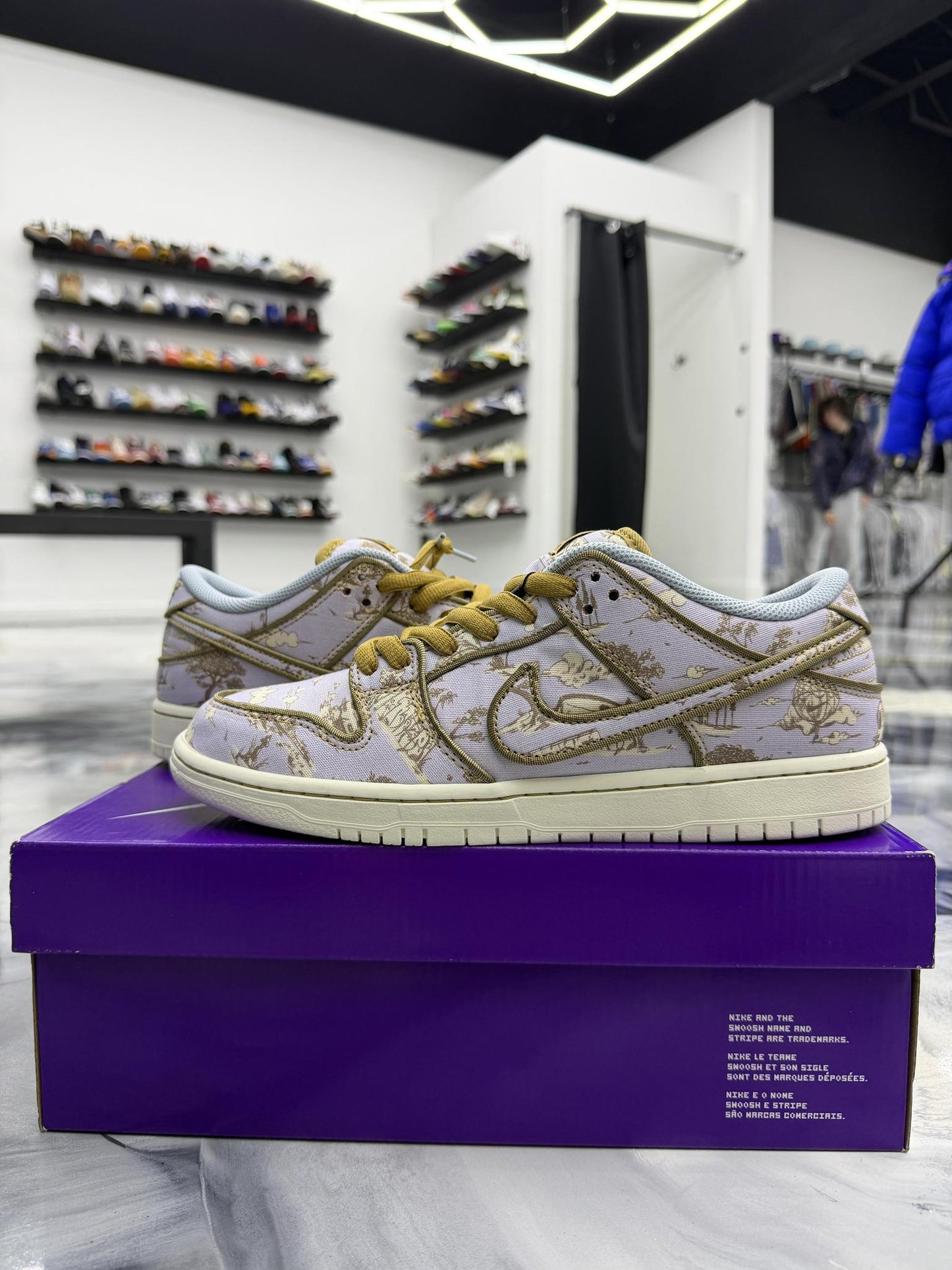 Nike SB Dunk Low City Of Style Used Size 9.5