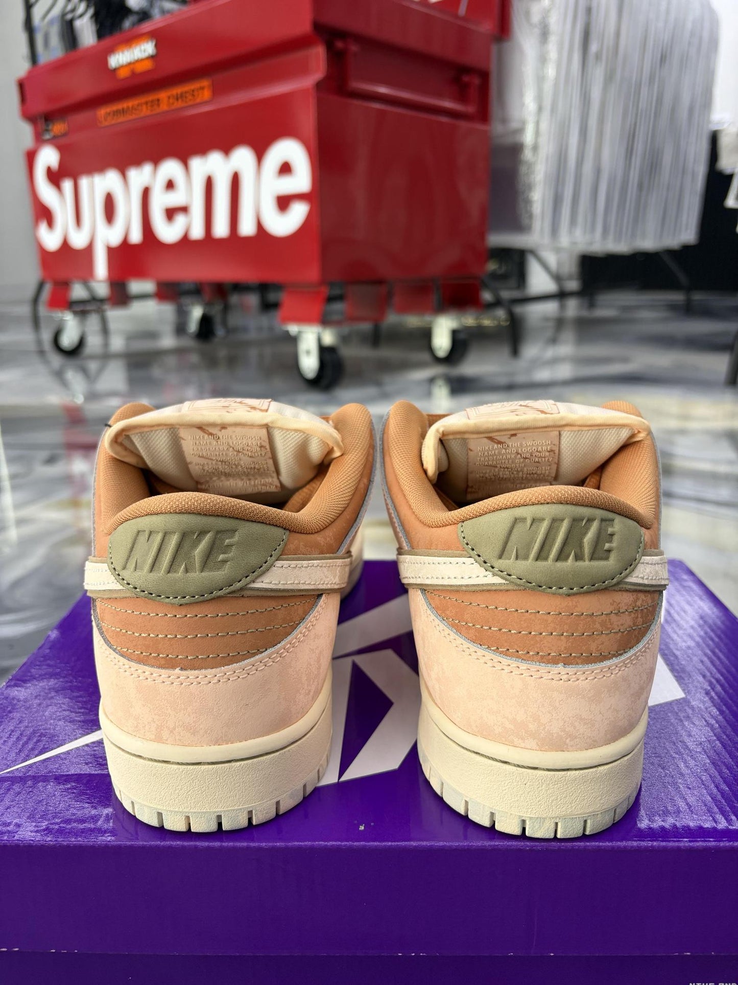 Nike SB Dunk Low "Trocadéro Gardens" Used Size 10.5