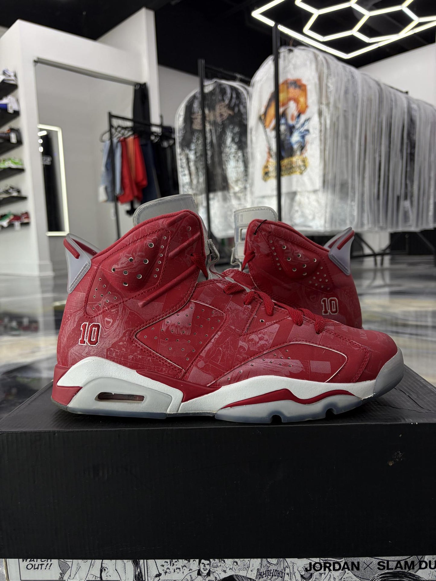 Jordan 6 "Slam Dunk" Used Size 10.5