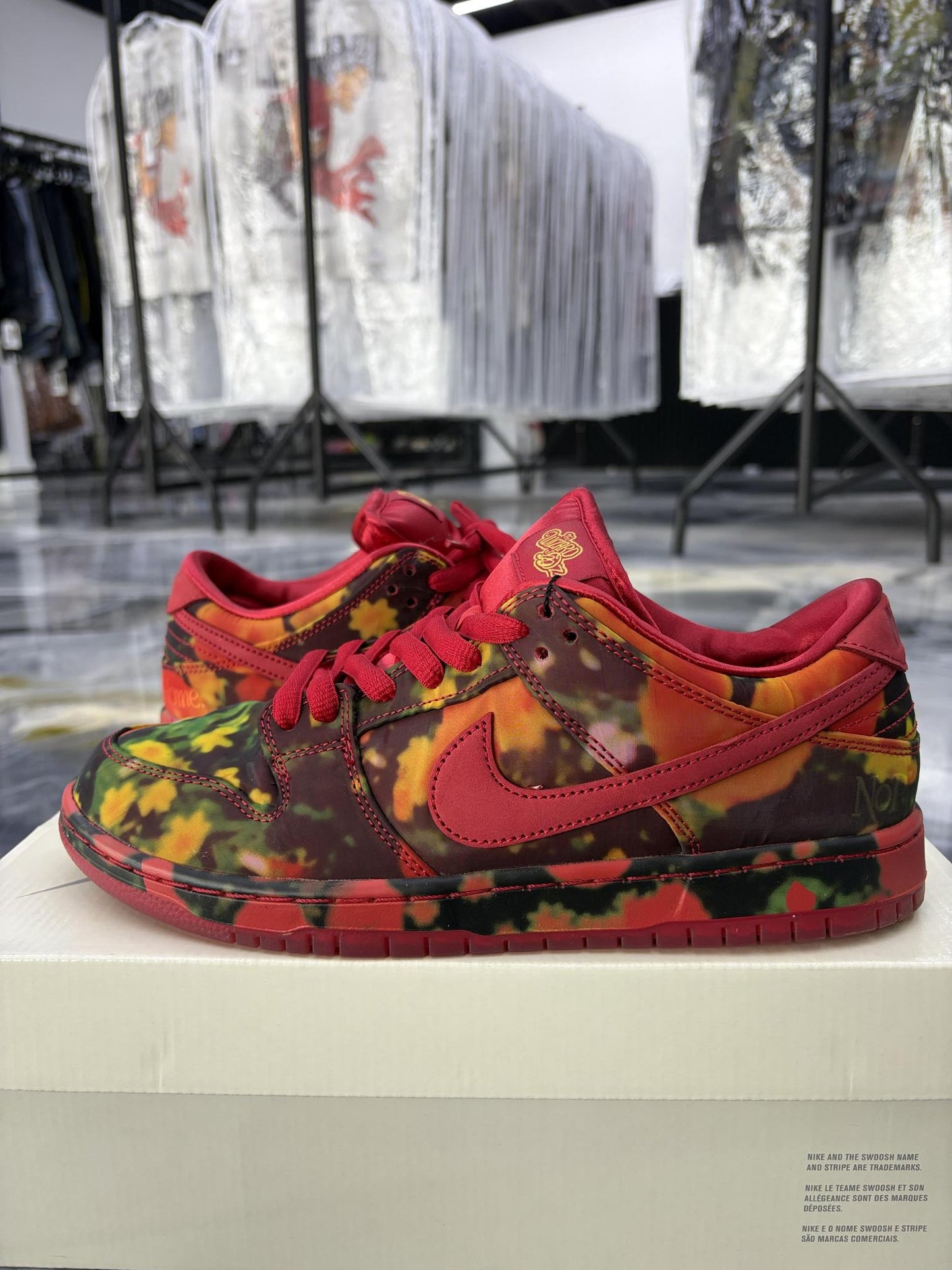 Nike SB Dunk Low "Wizard Of Oz" Used Size 9