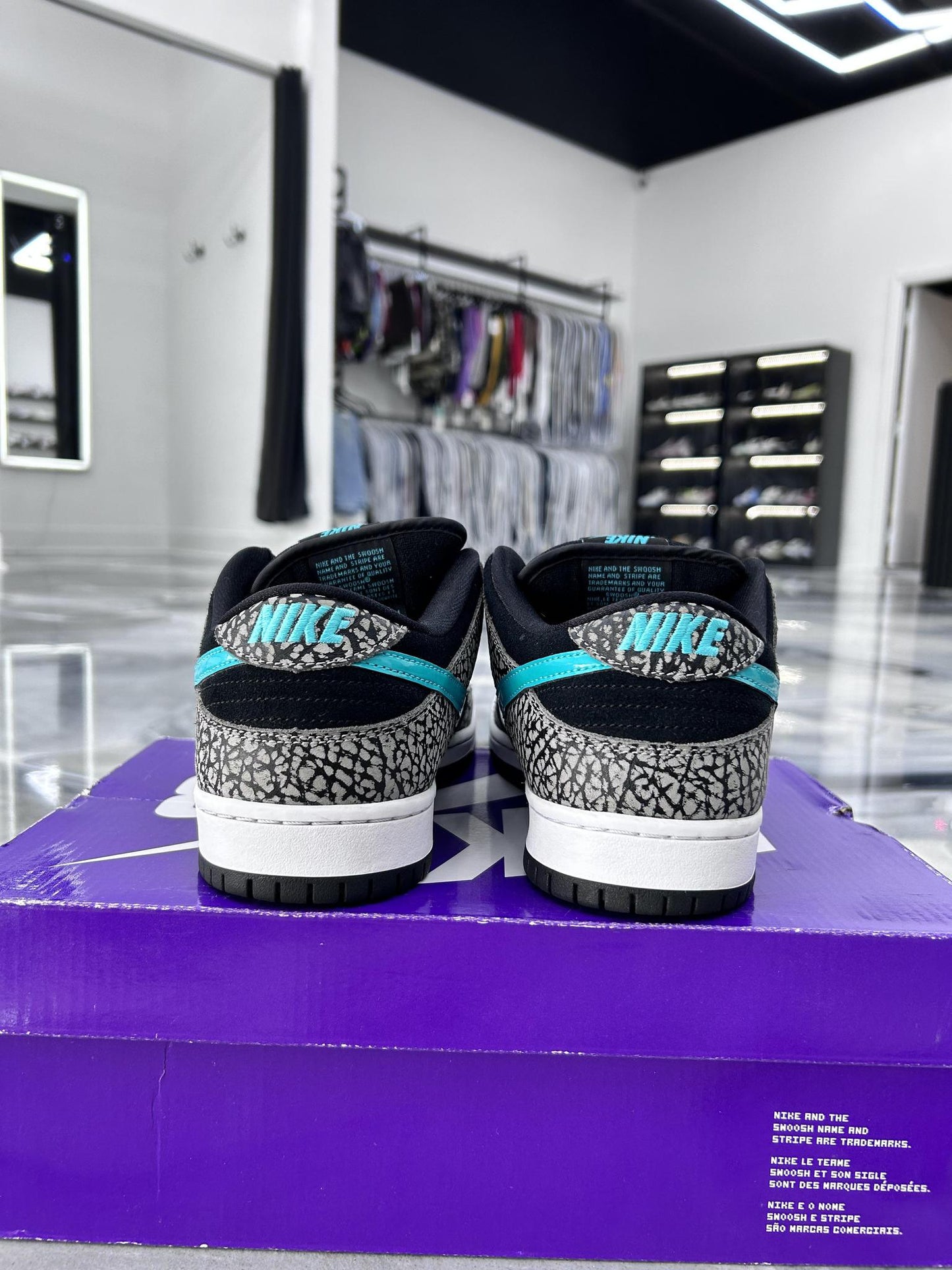 Nike Atmos SB "Atmos" Used Size 10