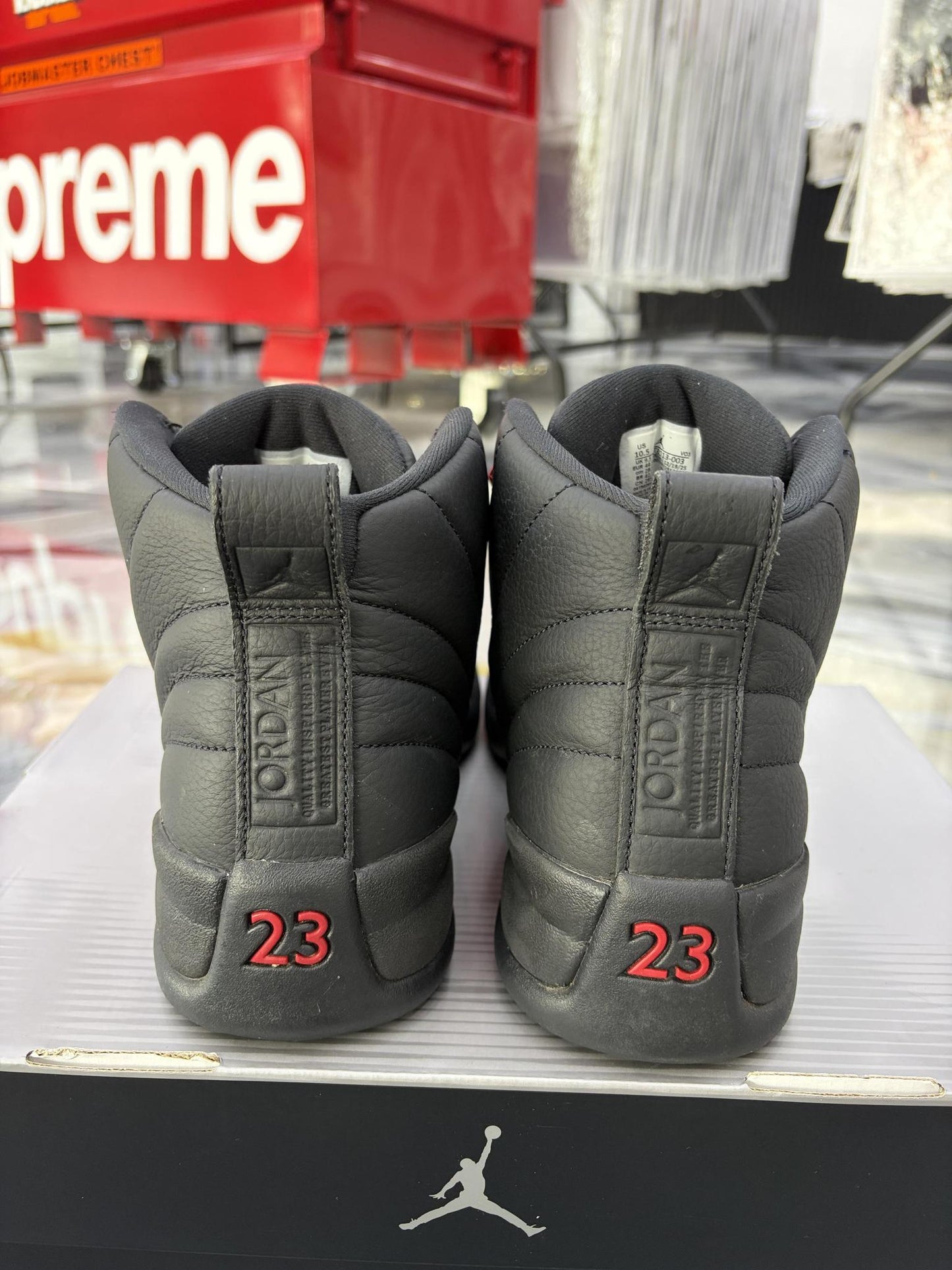 Jordan 12 "Bloodline" Used Size 10.5