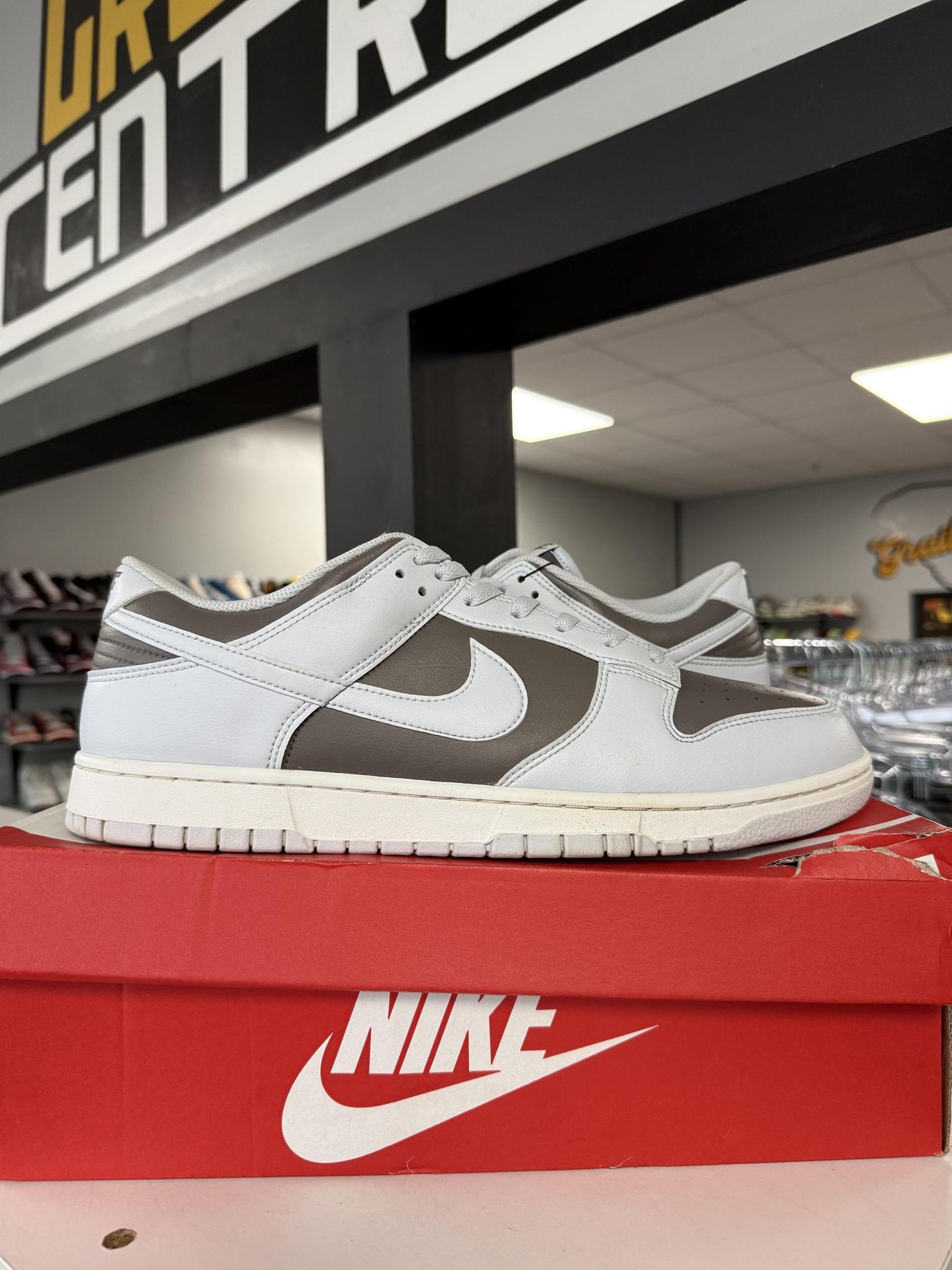 Dunk Low "Cave Stone Pure Platinum" Used Size 15