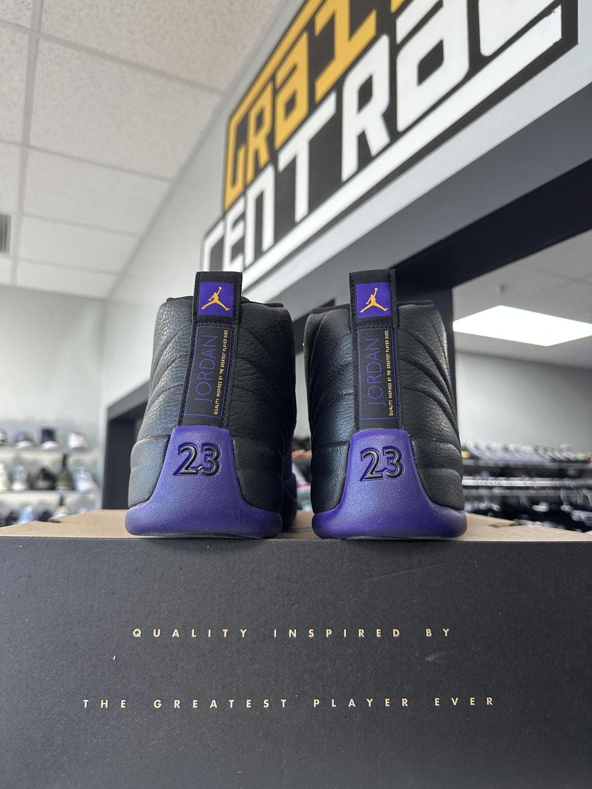 Jordan 12 "Field Purple" Used Size 14