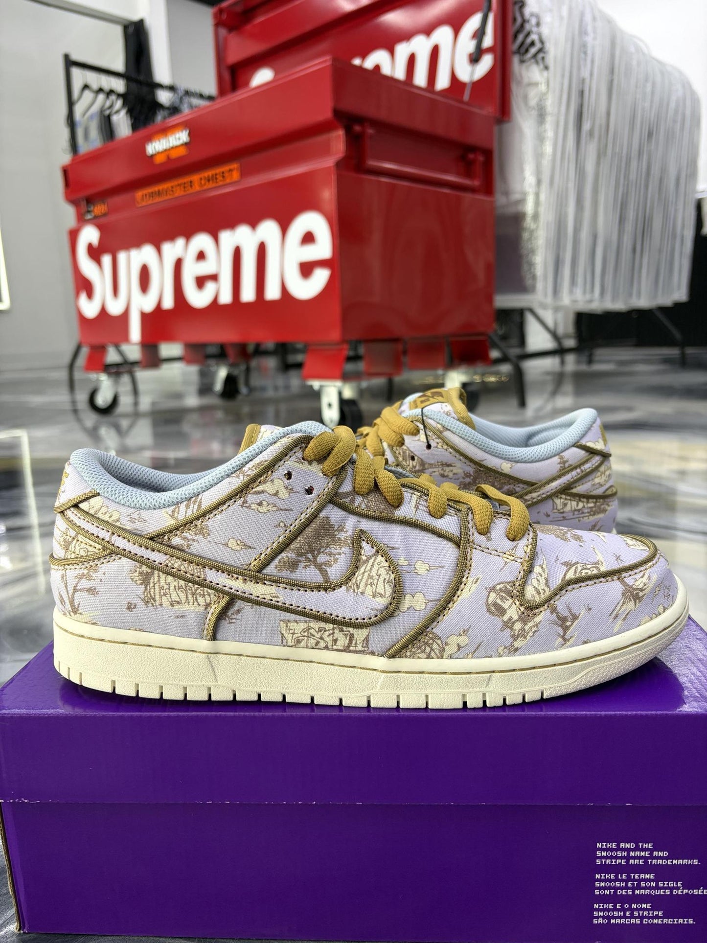 Nike SB Dunk Low Premium "City of Style" Used Size 10.5