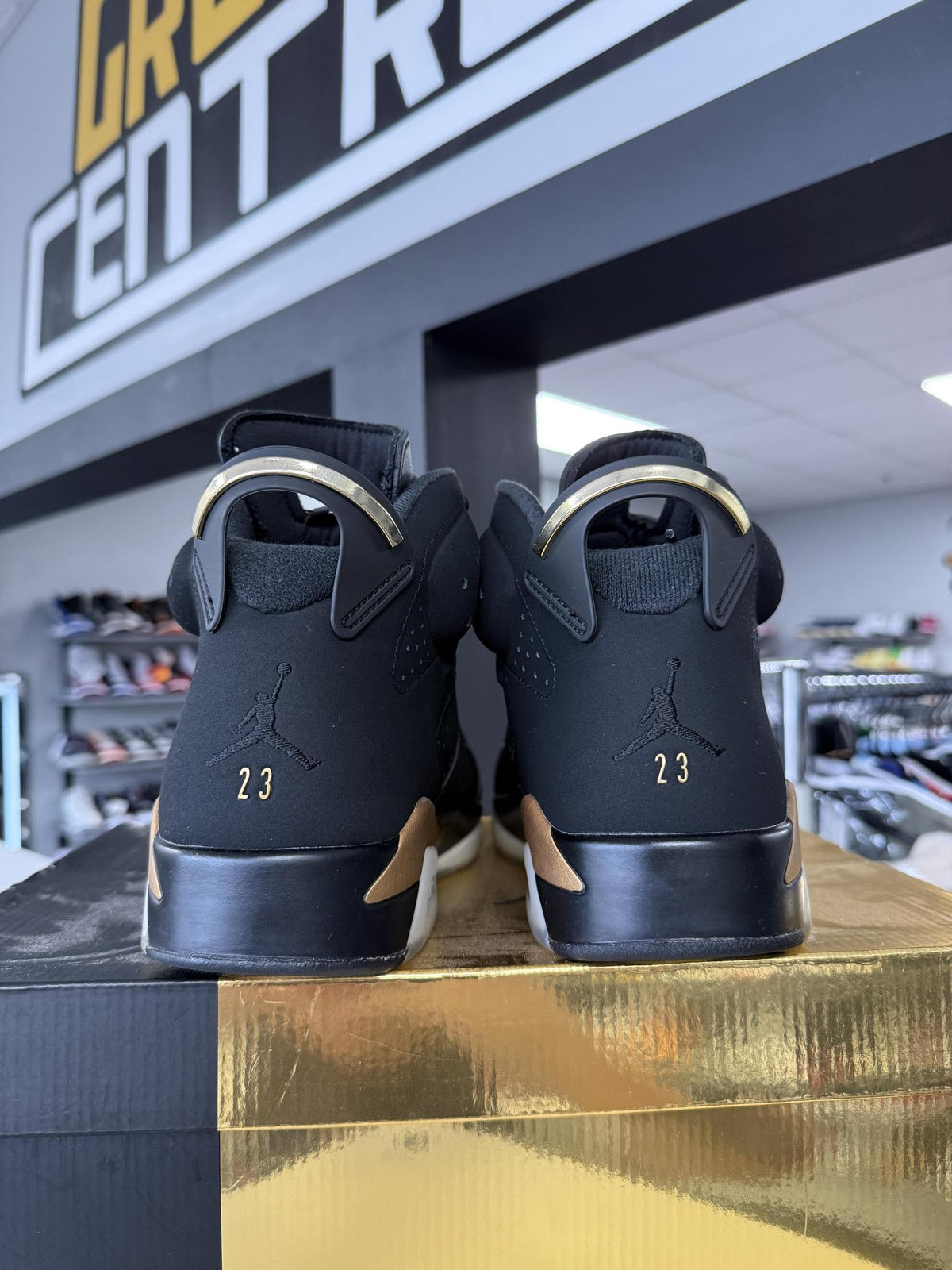 Jordan 6 "DMP" Used Size 10