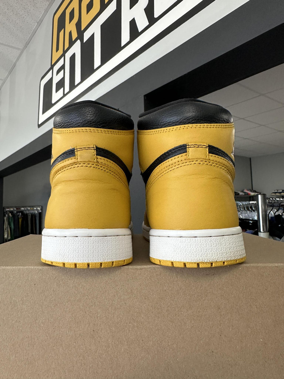 Jordan 1 Pollen Used
