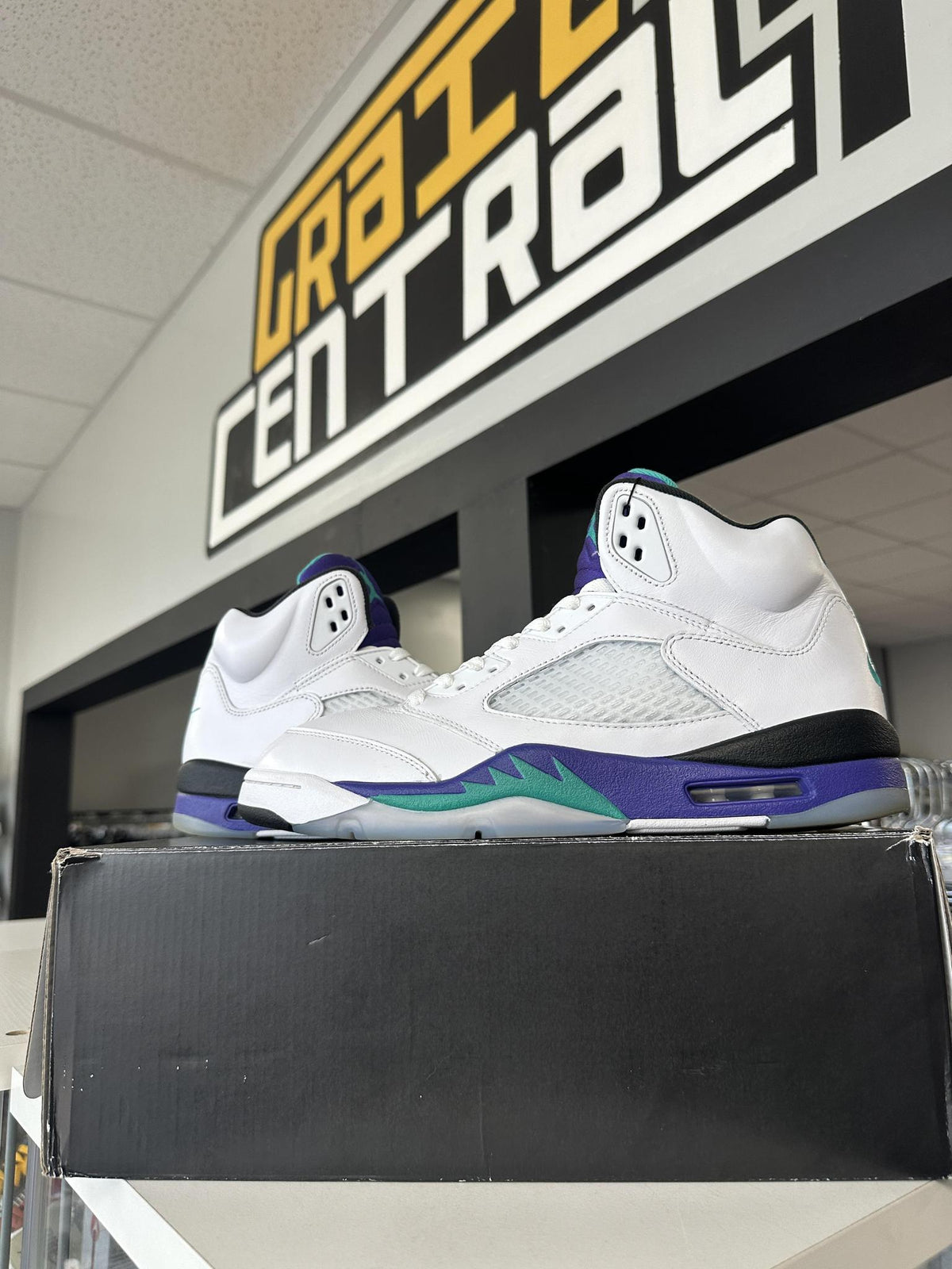 Jordan 5 Grape Used