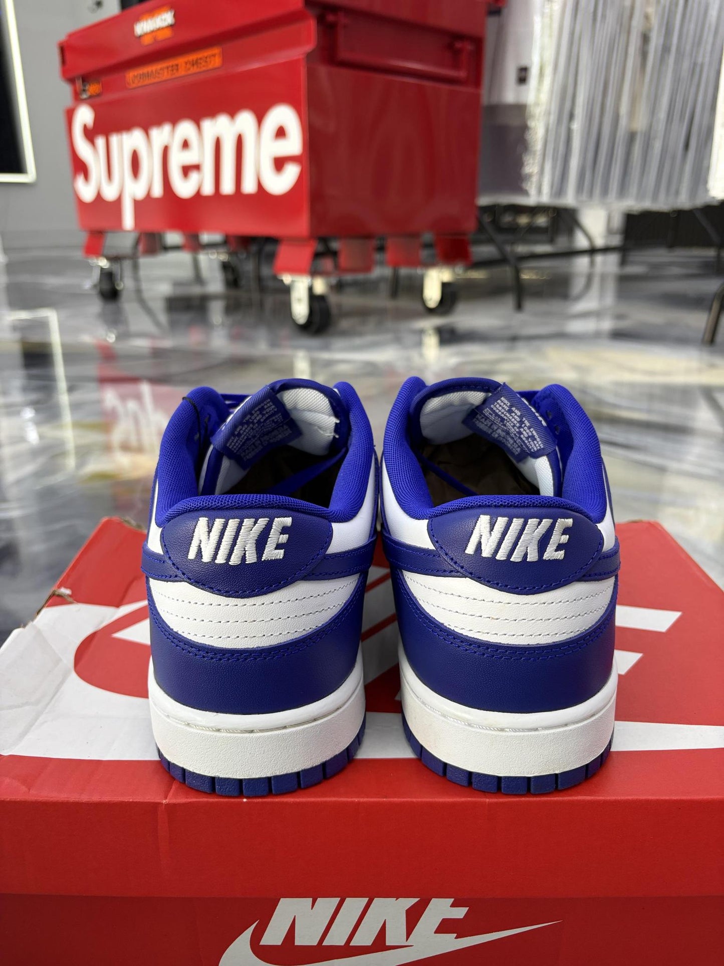 Nike Dunk Low "Concord" Used Size 13