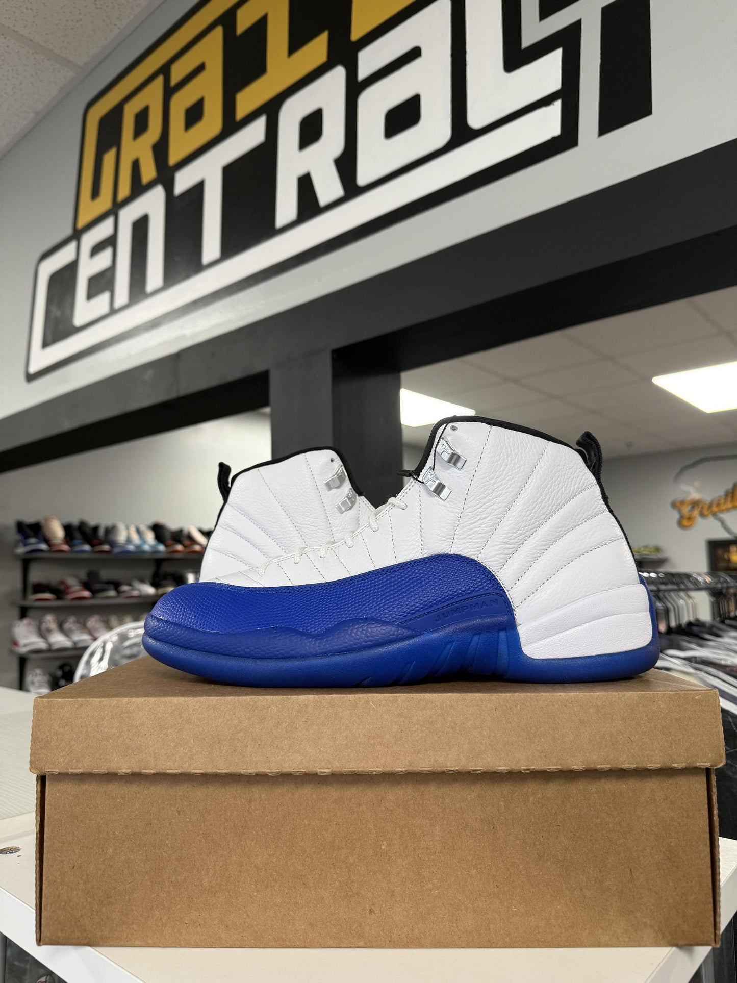 Jordan 12 "Blueberry" Used Size 11.5