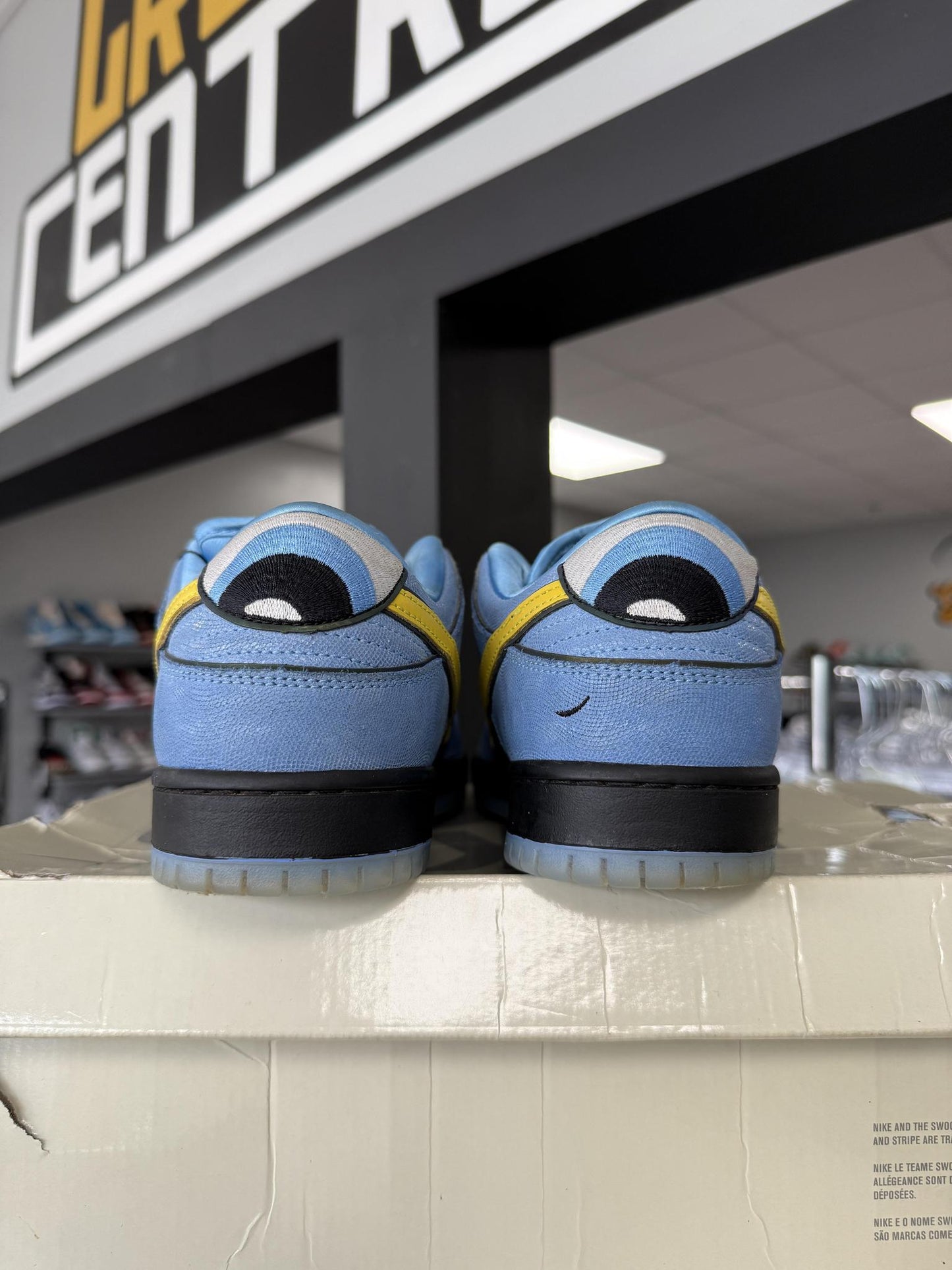 Nike Dunk Low SB Powerpuff "Bubbles" Used Size 9.5