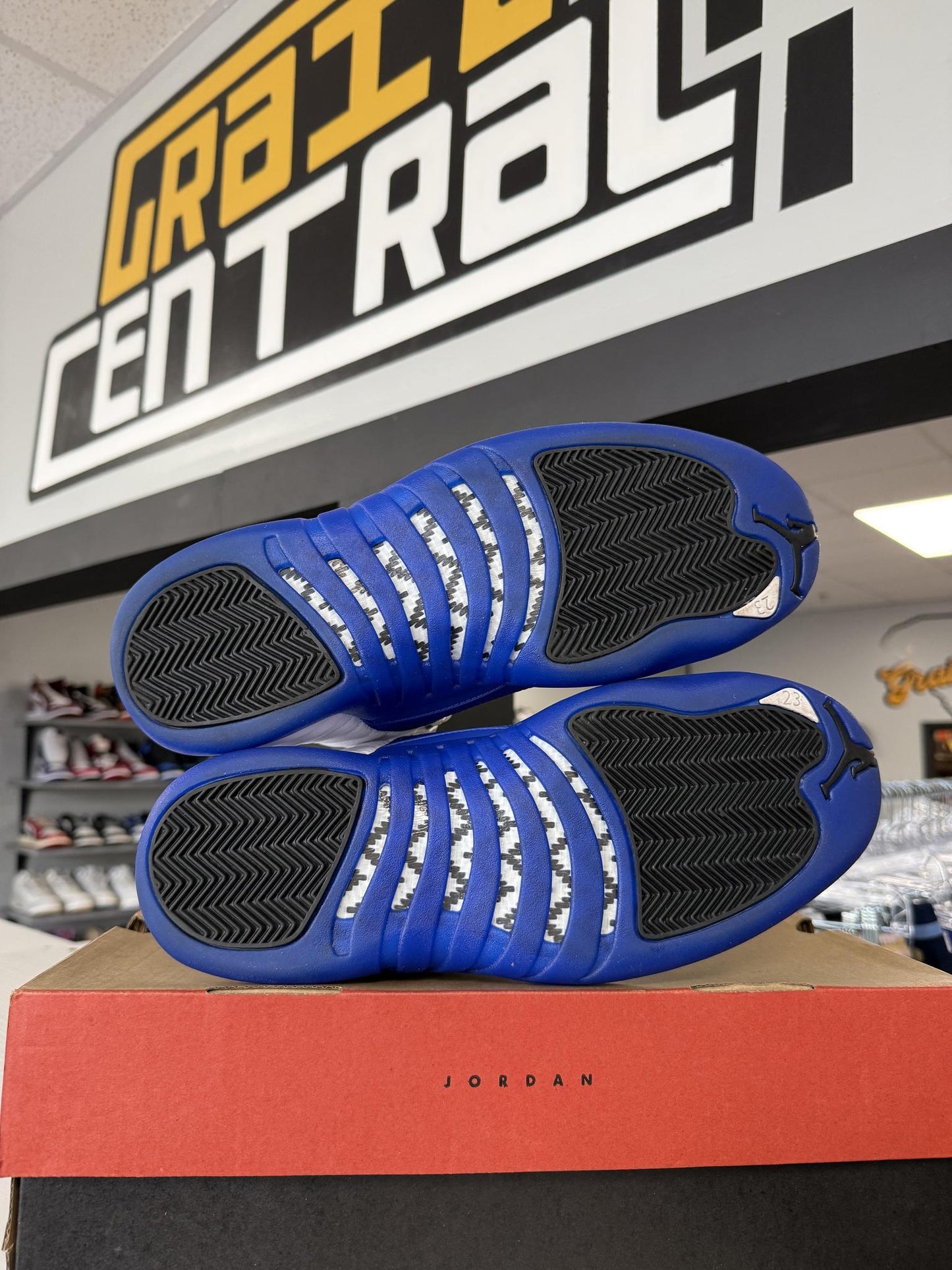 Jordan 12 "Blueberry" Used Size 11