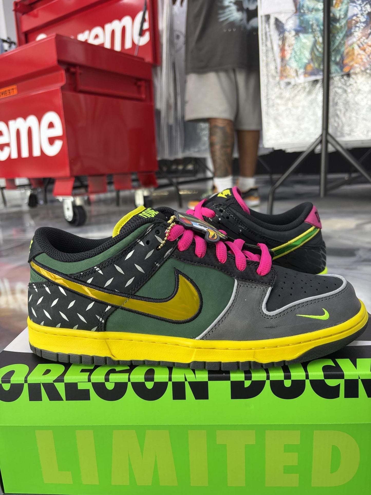 Nike Dunk Low "What The Duck" Used Size 10.5
