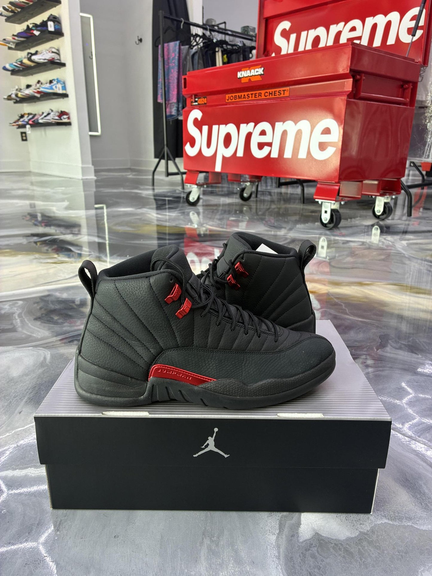 Jordan 12 "Bloodline" Used Size 10.5